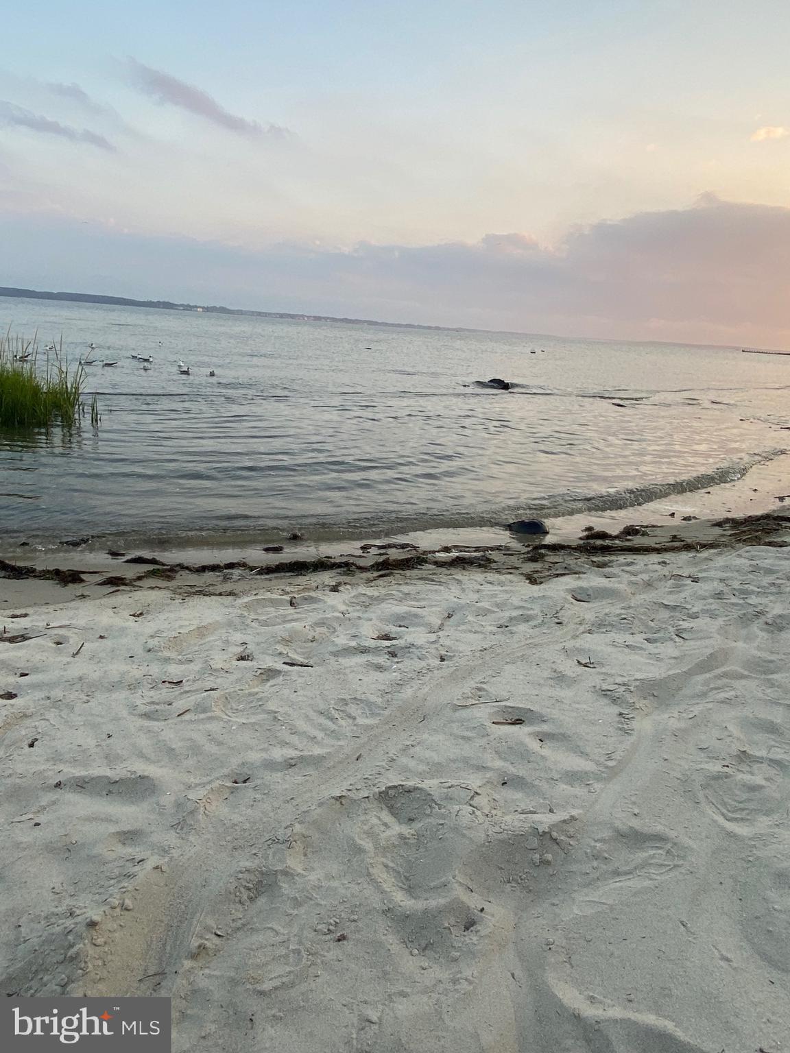 WHITE HOUSE BEACH - Residential