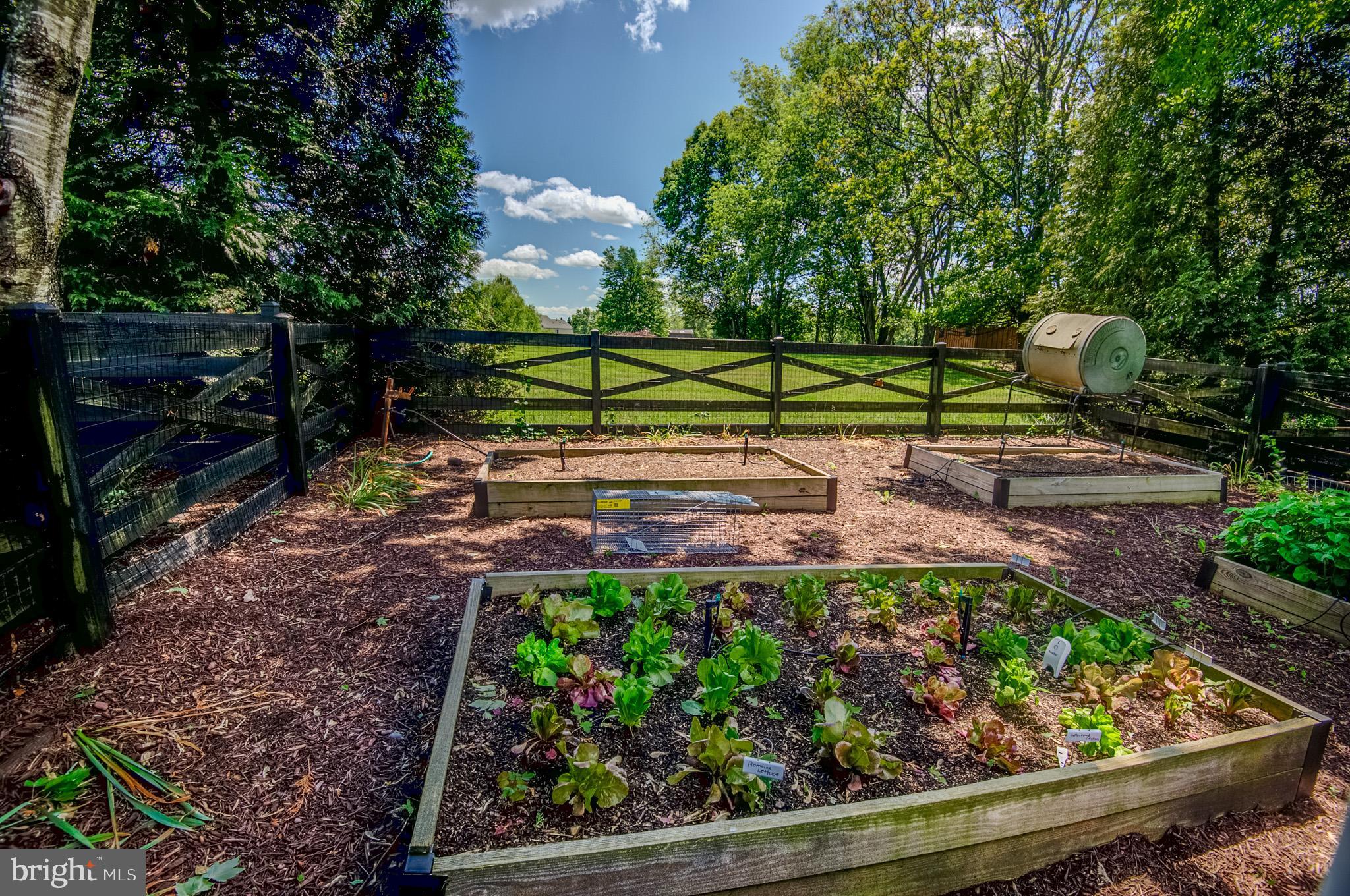 CHESTNUT HILLS - Residential