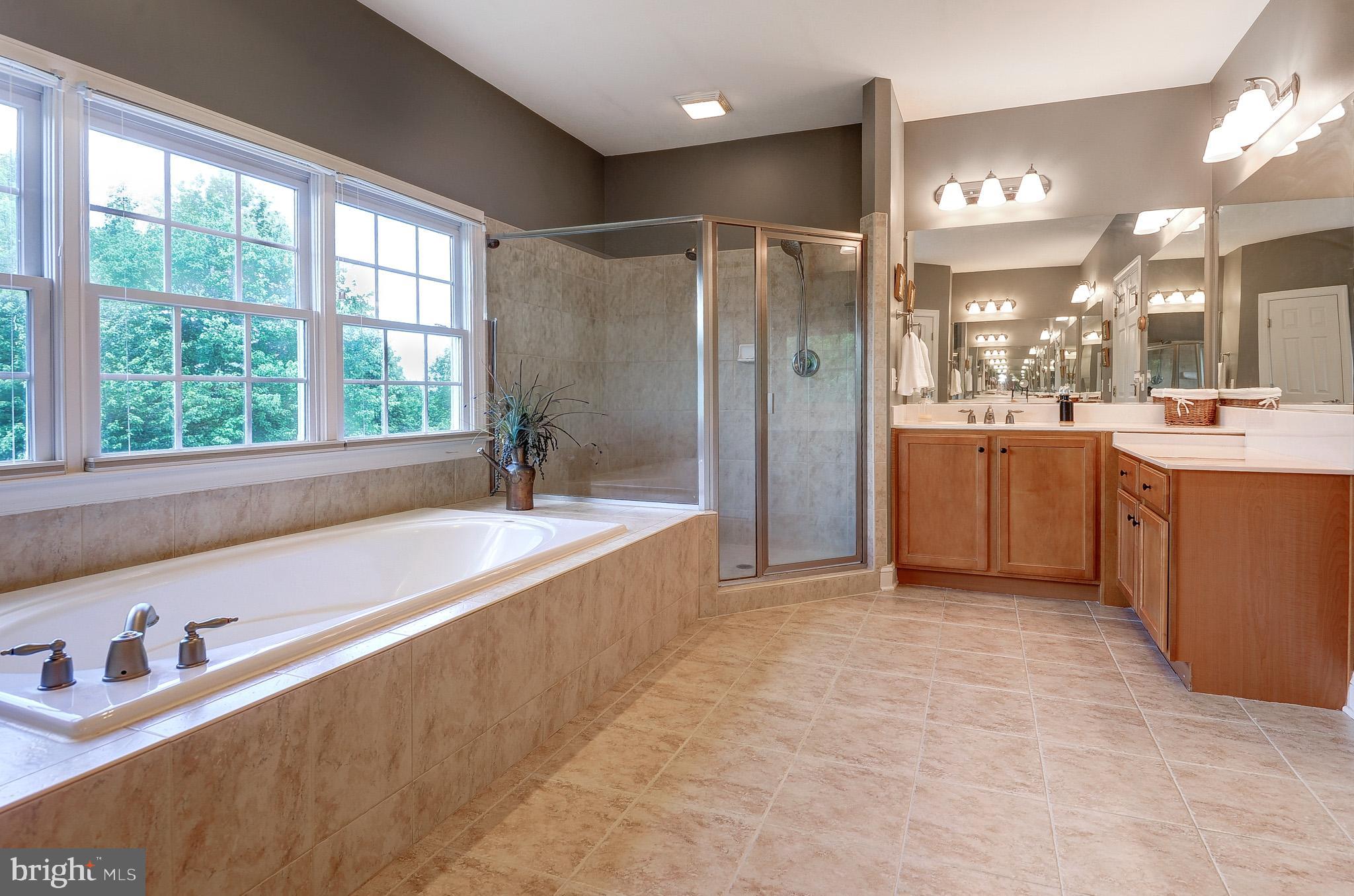 CHESTNUT HILLS - Residential