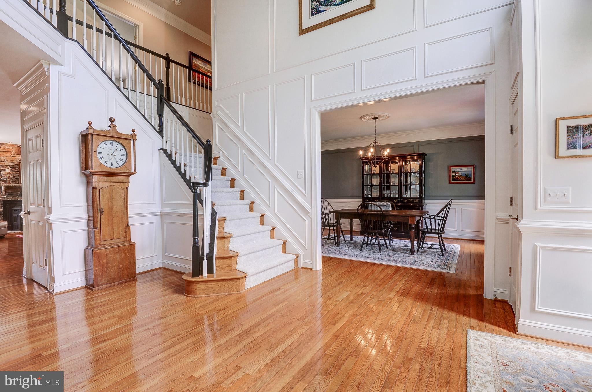 CHESTNUT HILLS - Residential