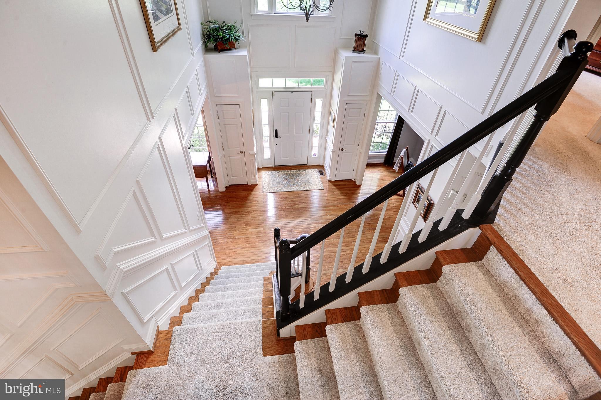 CHESTNUT HILLS - Residential