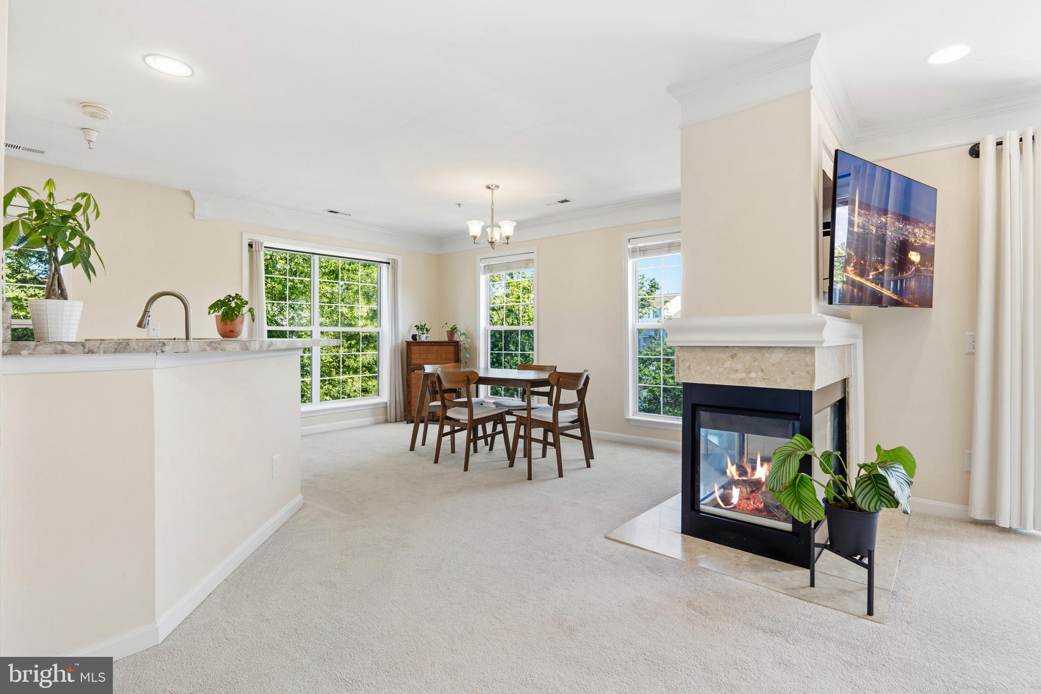 CHATHAM GREEN CONDOMINIUM - Residential