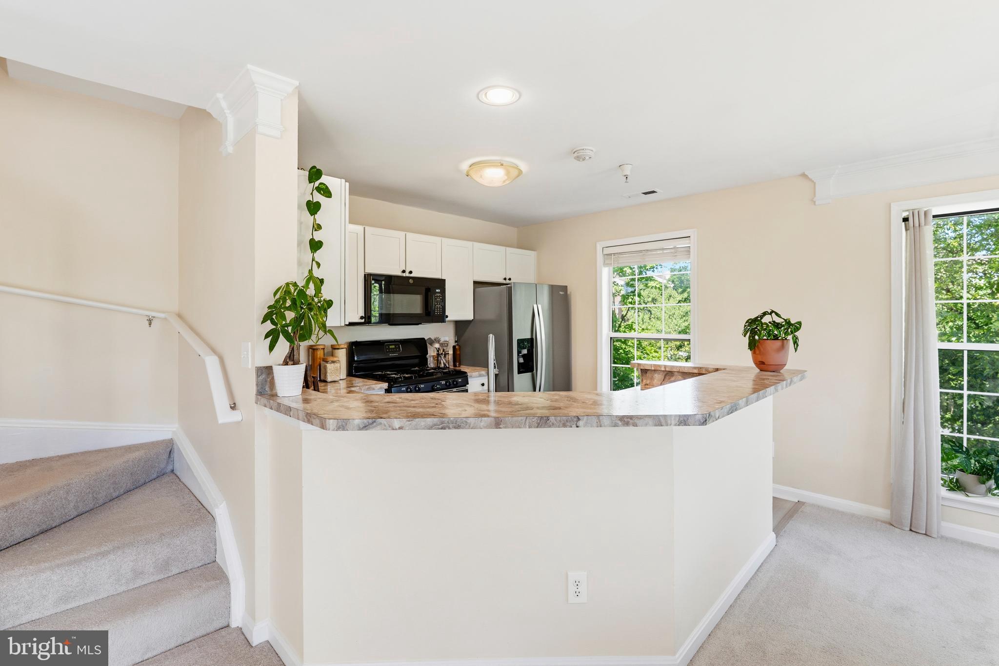 CHATHAM GREEN CONDOMINIUM - Residential