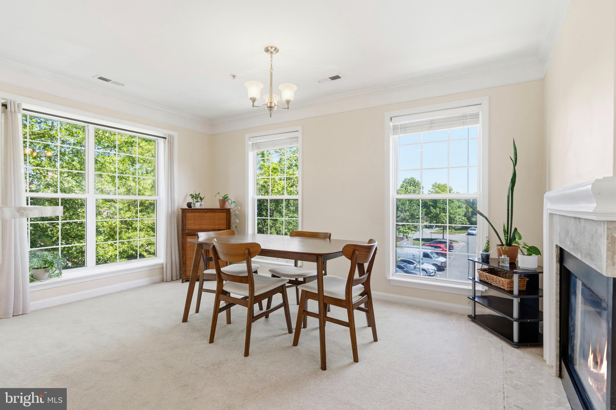 CHATHAM GREEN CONDOMINIUM - Residential