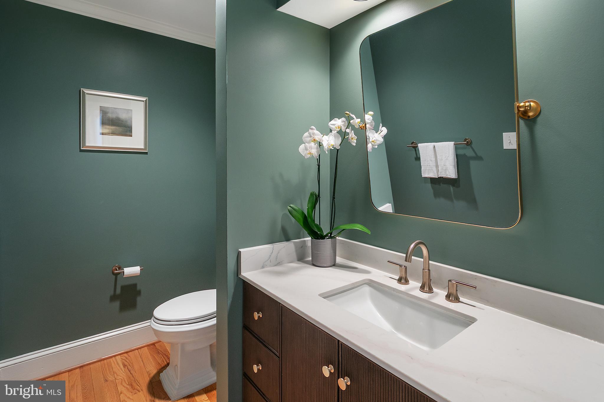 CARDEROCK SPRINGS - Residential