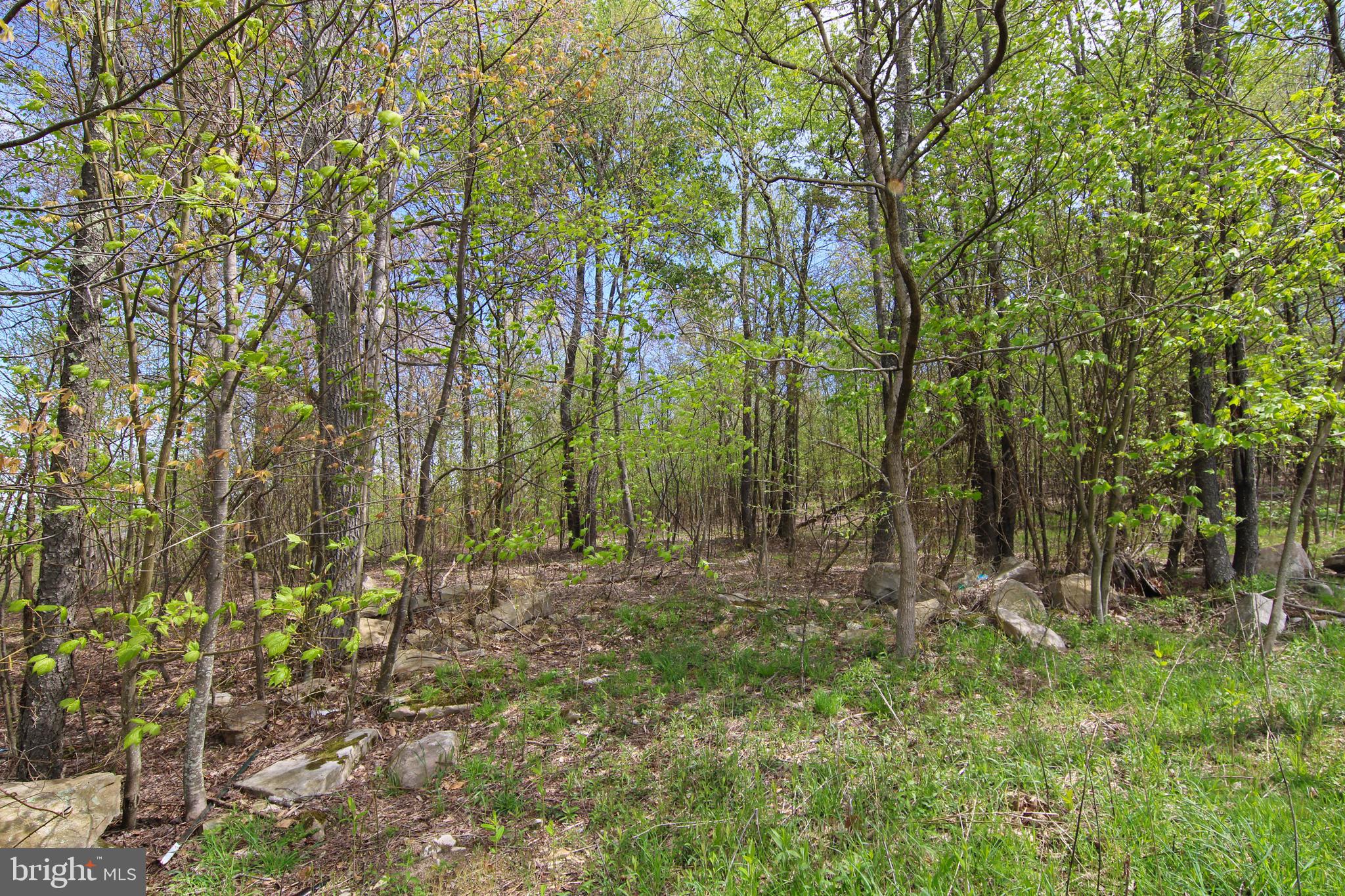 NORTH CAMP - Land