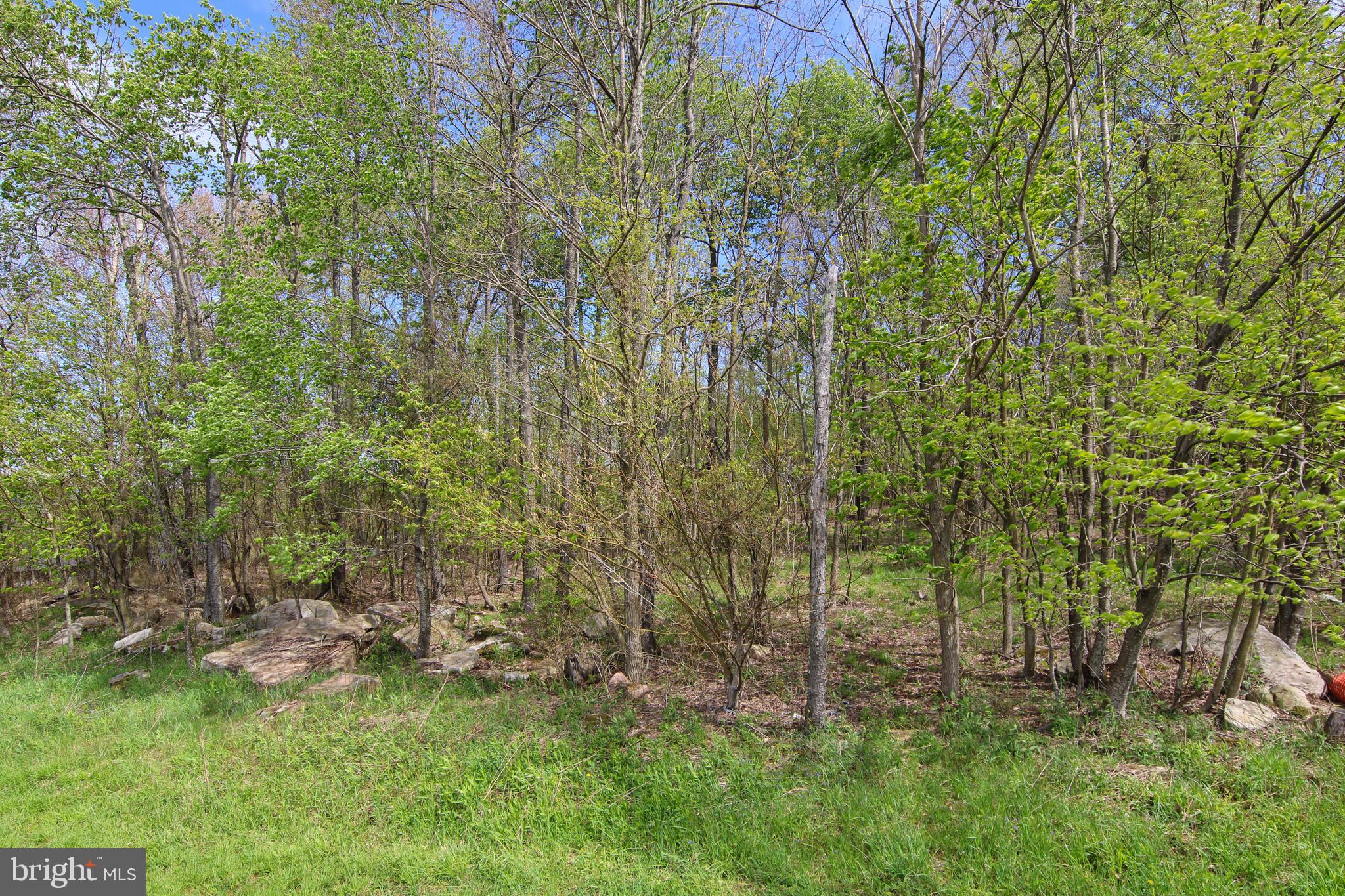 NORTH CAMP - Land
