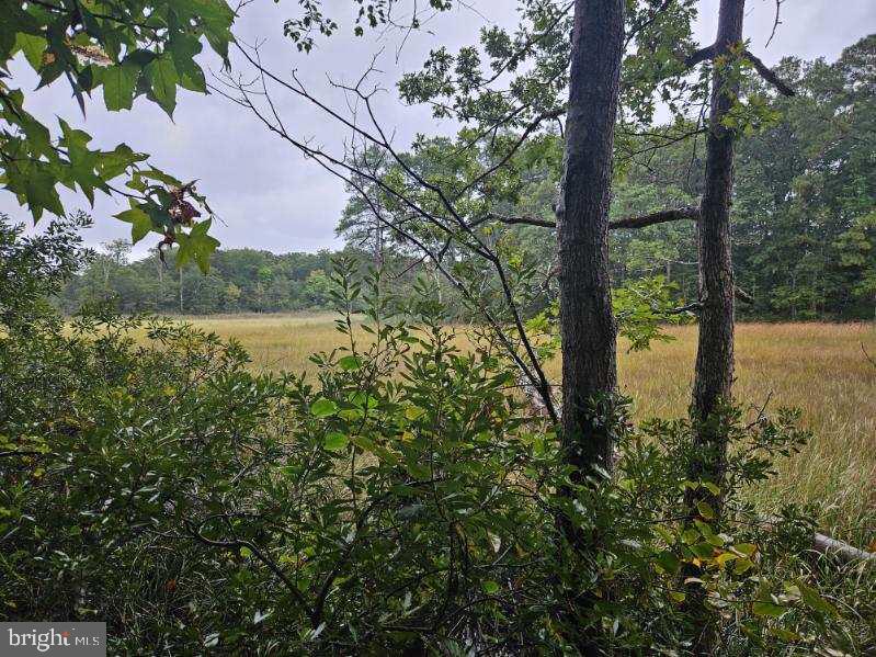 The perfect private setting in a very popular neighborhood; bring plans for your very own custom home and build your dream home exactly to your specifications! Per St Mary's County, lot was deeded before ordinance was put in place, so the building envelope is larger than that of the other lots in subdivision, approximately 5445 Square Feet (!), with 100 ft setback.