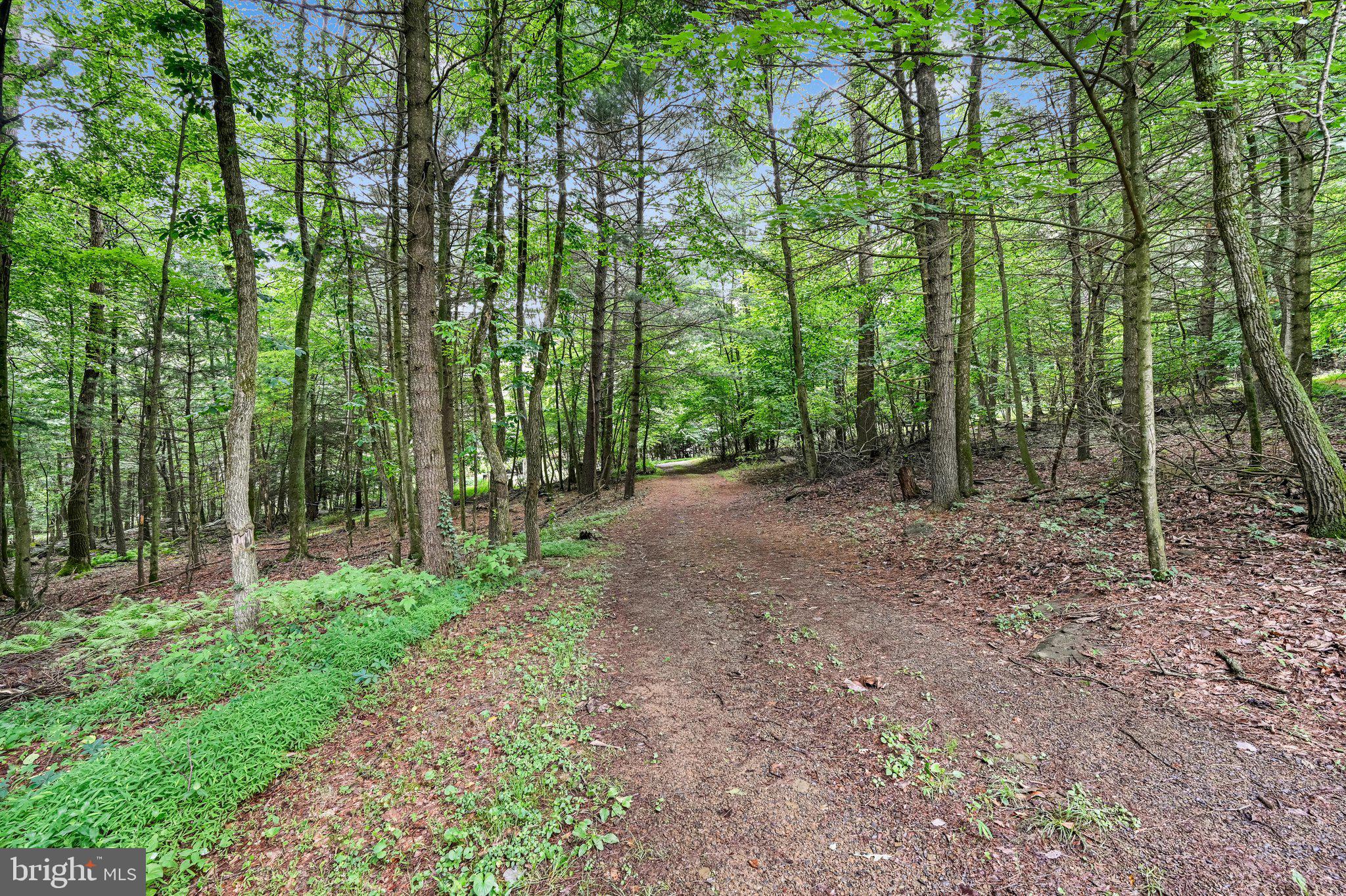 PINE GROVE - Residential