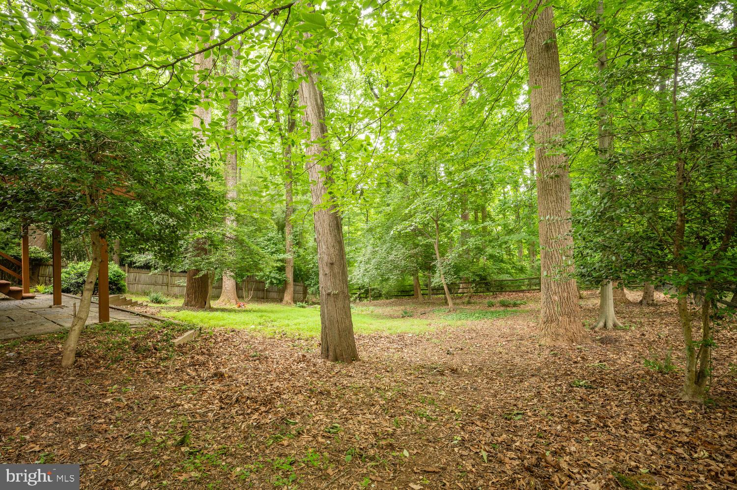 CARDEROCK SPRINGS - Residential