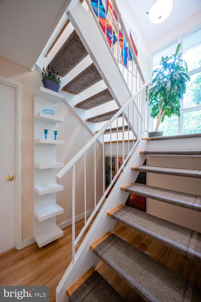 CARDEROCK SPRINGS - Residential