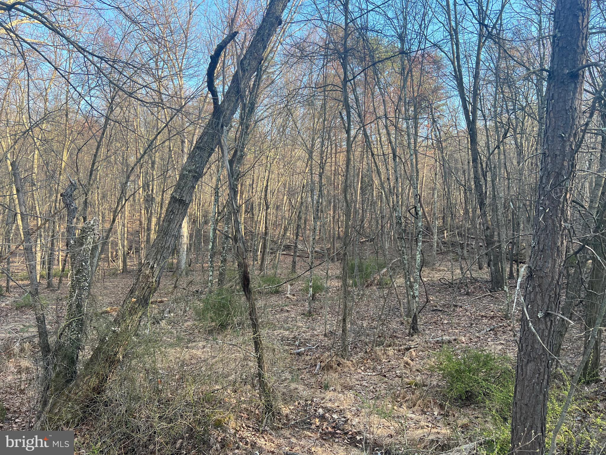 Beautiful 3.29 mostly wooded acres in the highly sought after Sleepy Creek Farms Subdivision! With this property being located approximately 30 minutes from downtown Berkeley Springs and just approximately 10 minutes from Cacapon State Park you will have access to all amenities Berkeley Springs has to offer while still feeling tucked away from the hustle and bustle of everyday life! Whether you are looking to build your forever home, a cabin to get to get away from it all, or a short-term rental, this could be the perfect property for you!