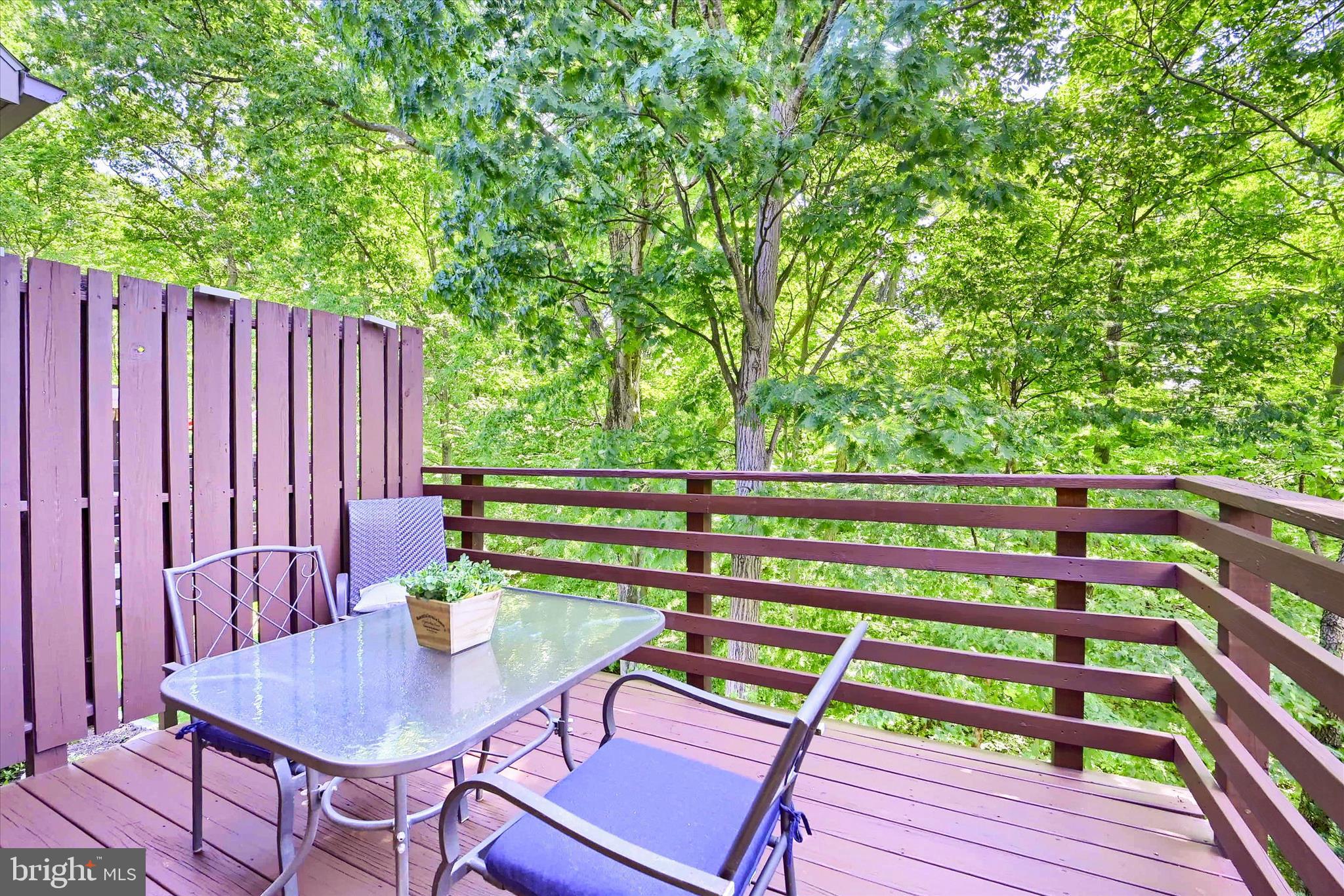 TIMBER CHASE - Residential