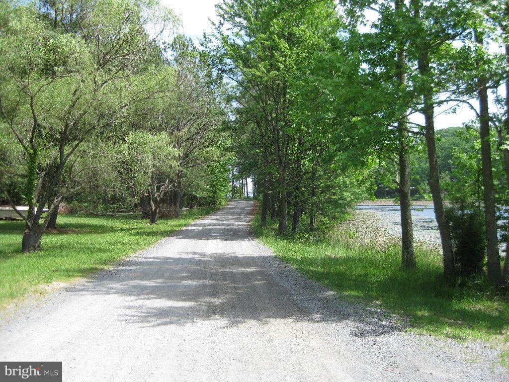 COVE LAKE - Land
