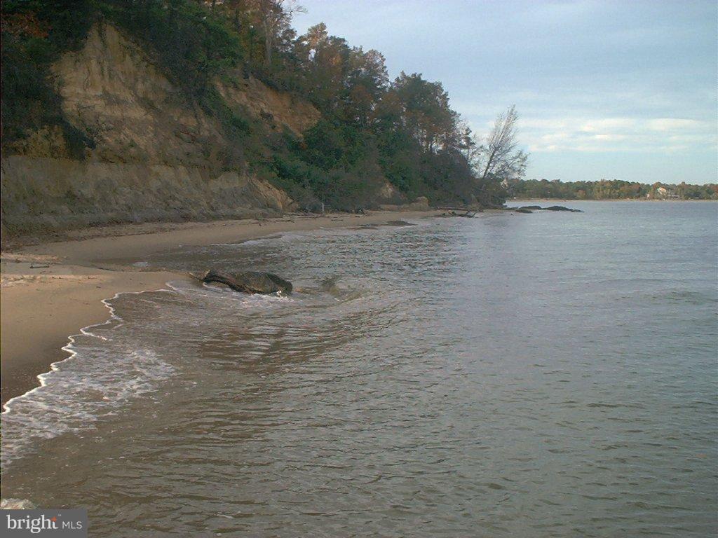 COVE LAKE - Land