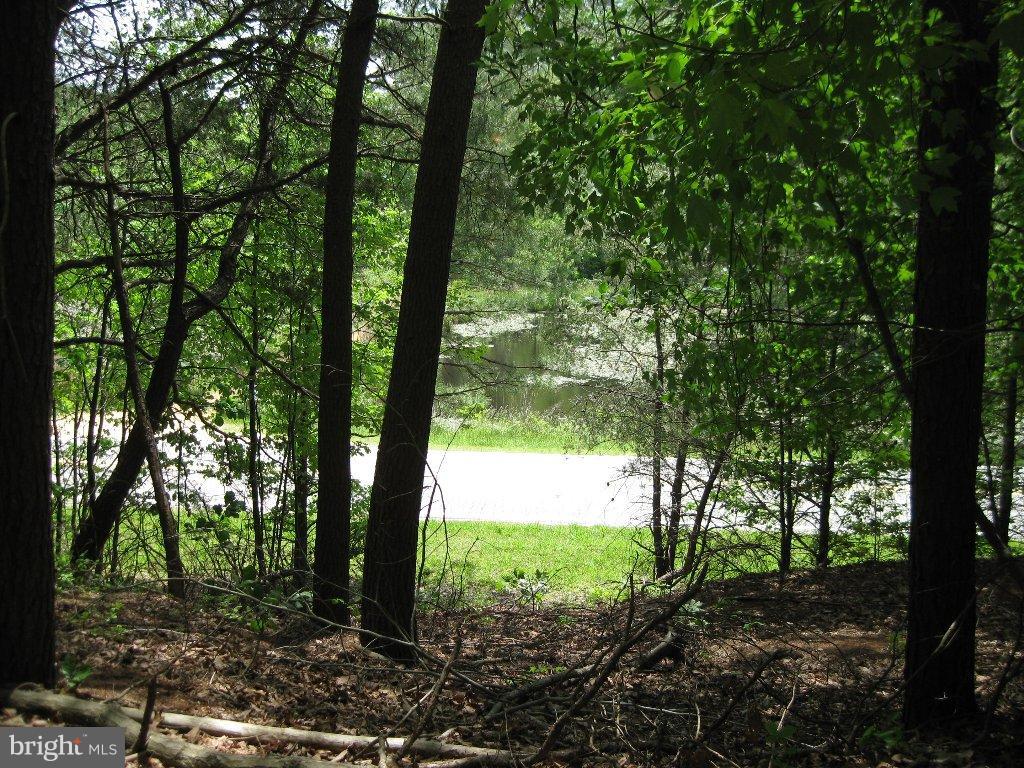 COVE LAKE - Land