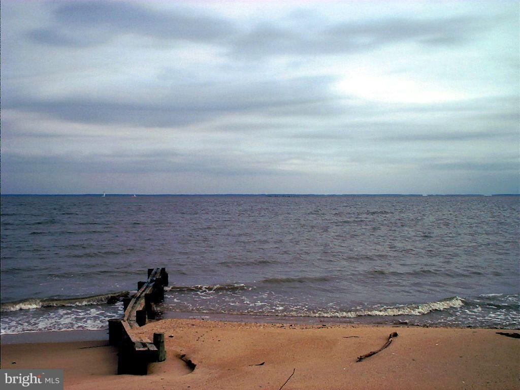 COVE LAKE - Land