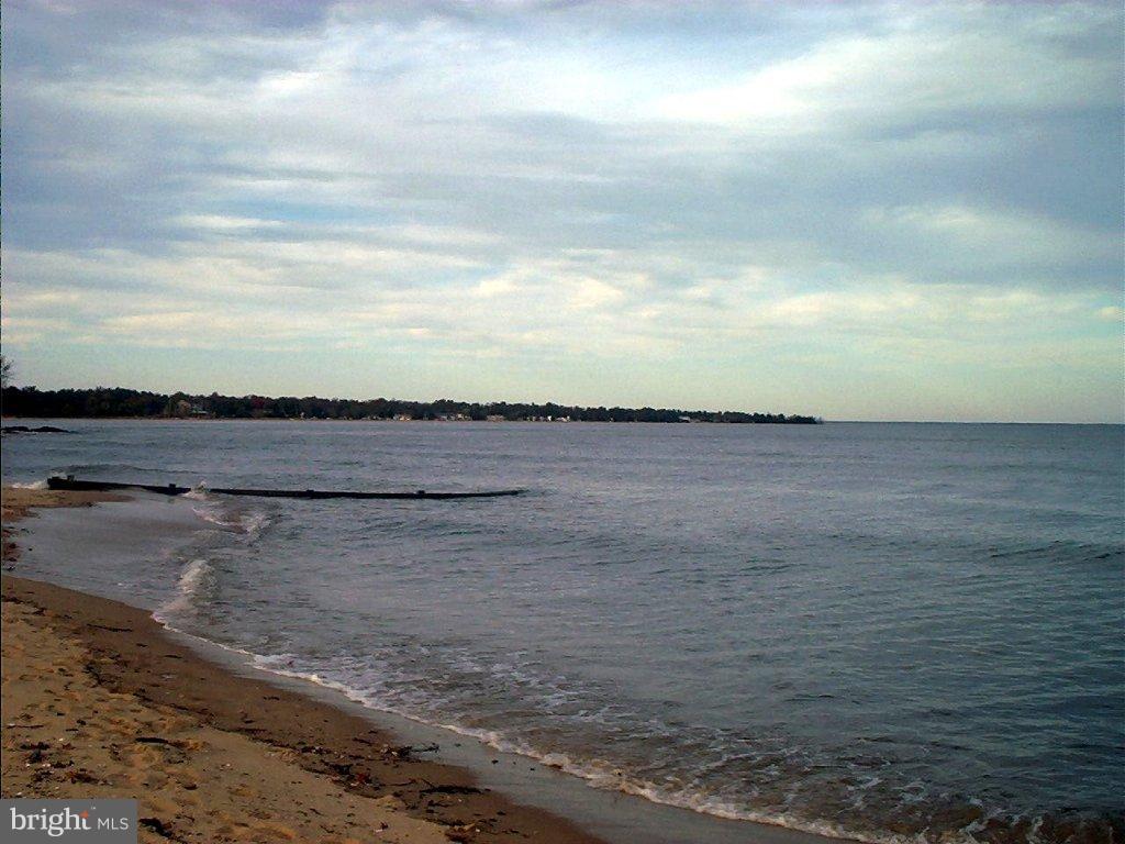 COVE LAKE - Land