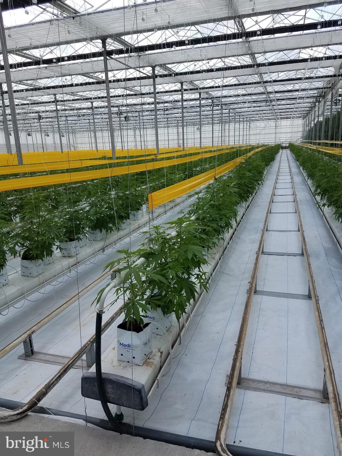 NONE AVAILABLE - Commercial Sale