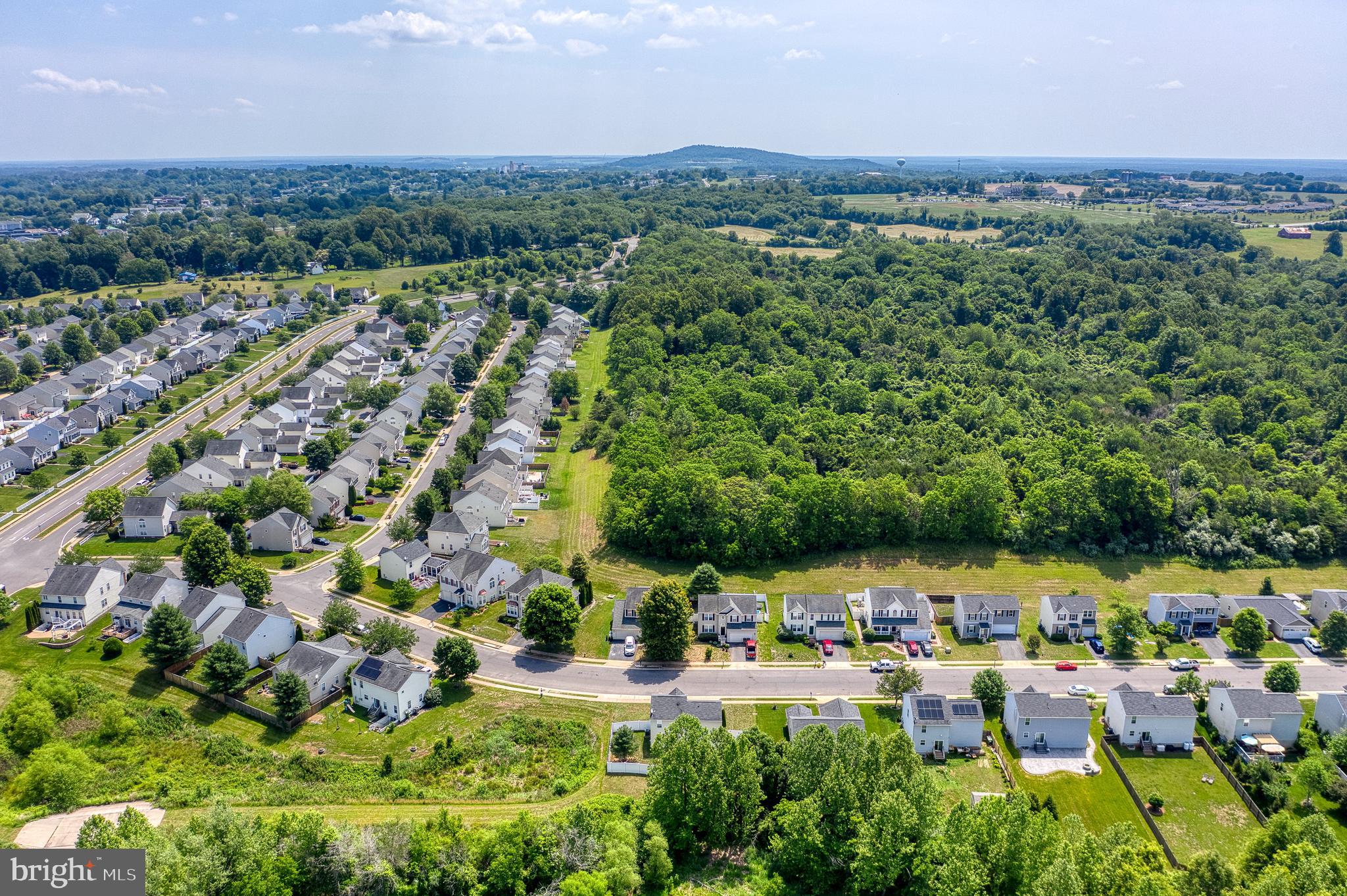 THREE FLAGS OF CULPEPER - Residential