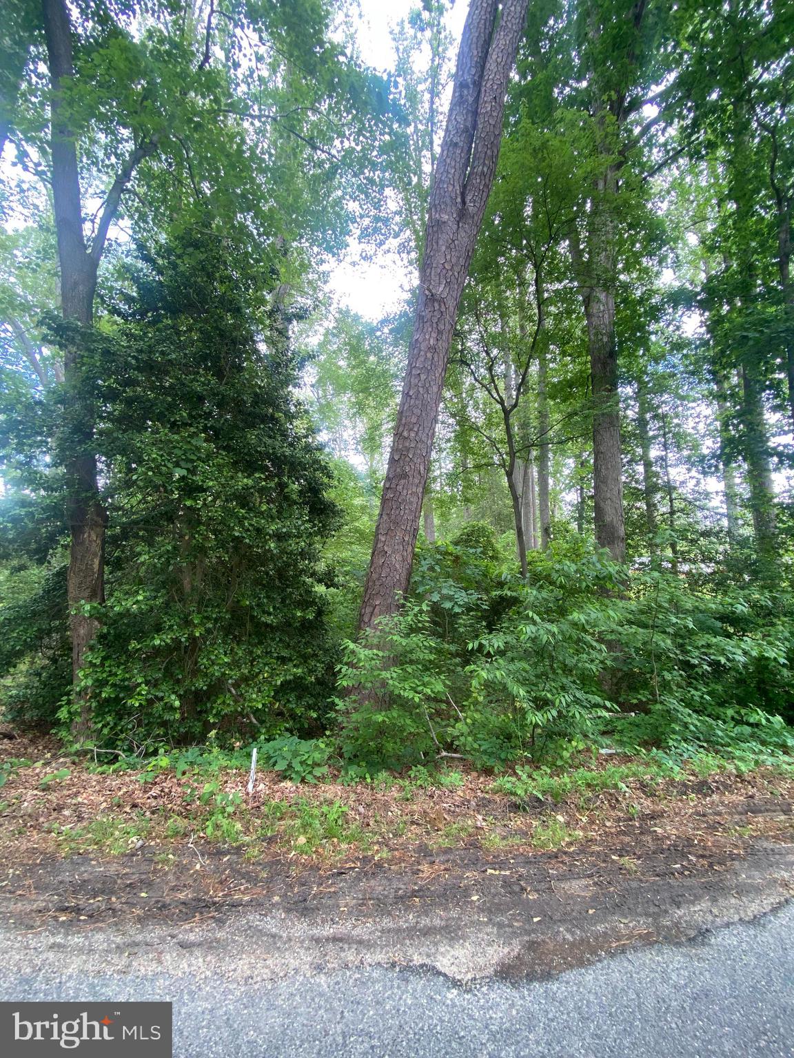 Build Your Dream Home on This Peaceful 2-Acre Lot in Ruther Glen, VA!
Tucked away in the heart of Caroline County, this beautiful 2-acre lot offers the perfect blend of privacy and convenience. Surrounded by nature and just 5 miles from I-95, it's an ideal spot for anyone looking to build a peaceful retreat while still being close to commuting routes and everyday essentials.
The property is believed to have electricity on site and an old well, though no records are available from the seller—buyers are encouraged to do their own due diligence.  Whether you're ready to break ground or just dreaming of a future homesite, this wooded lot offers endless possibilities.
Don't miss this opportunity to own a slice of serenity in Ruther Glen—bring your vision and make it your own!  SOIL STUDY COMPLETED Dec 2025- PERC FOR 3 BEDROOM WITH CONVENTIONAL SEPTIC SYSTEM.   SURVEY COMPLETED JAN 2026- SEE ATTACHED DOCS