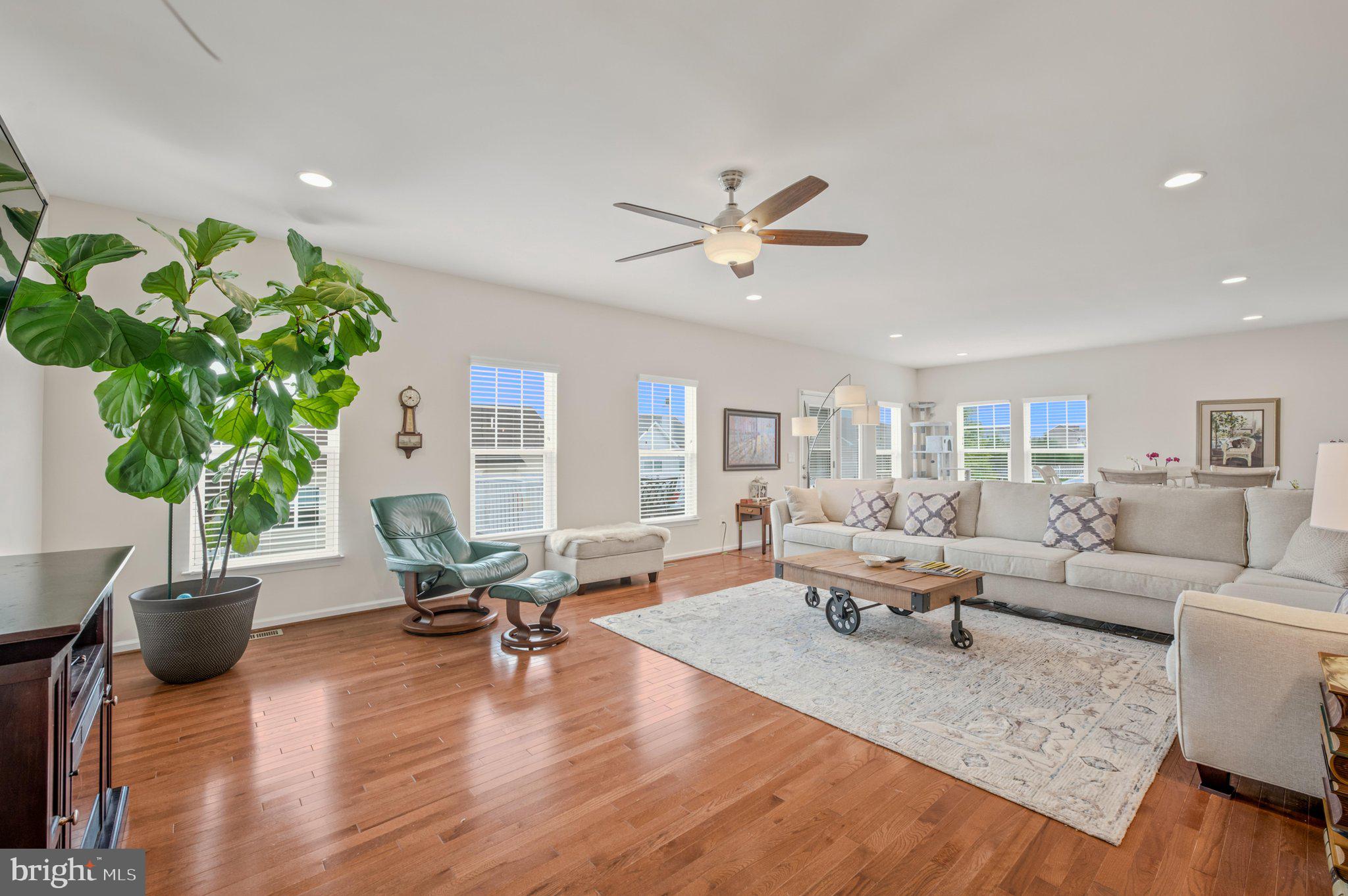 NORBORNE GLEBE - Residential