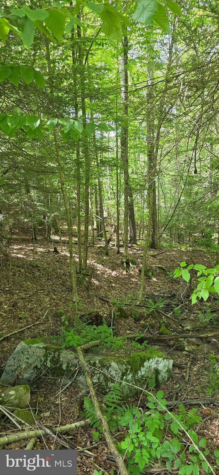 MAPLE DEL - Land