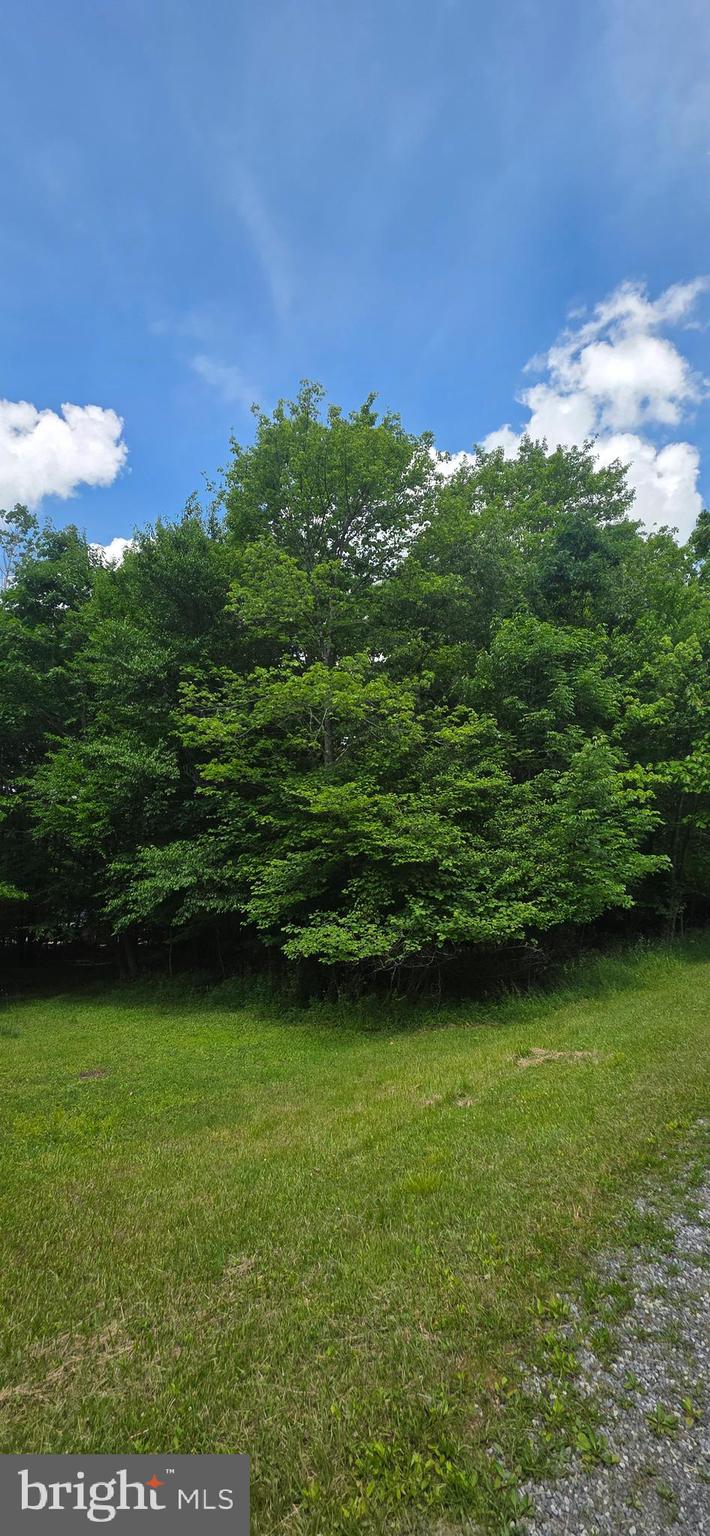 MAPLE DEL - Land
