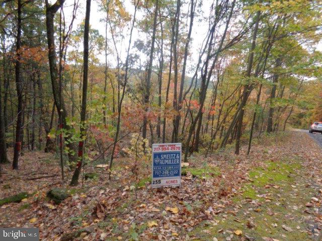 2.55 acres of woodland on Jacks Mountain is the perfect spot for your weekend getaways.  Easy access on to Woodside Lane, a private, gated right of way.