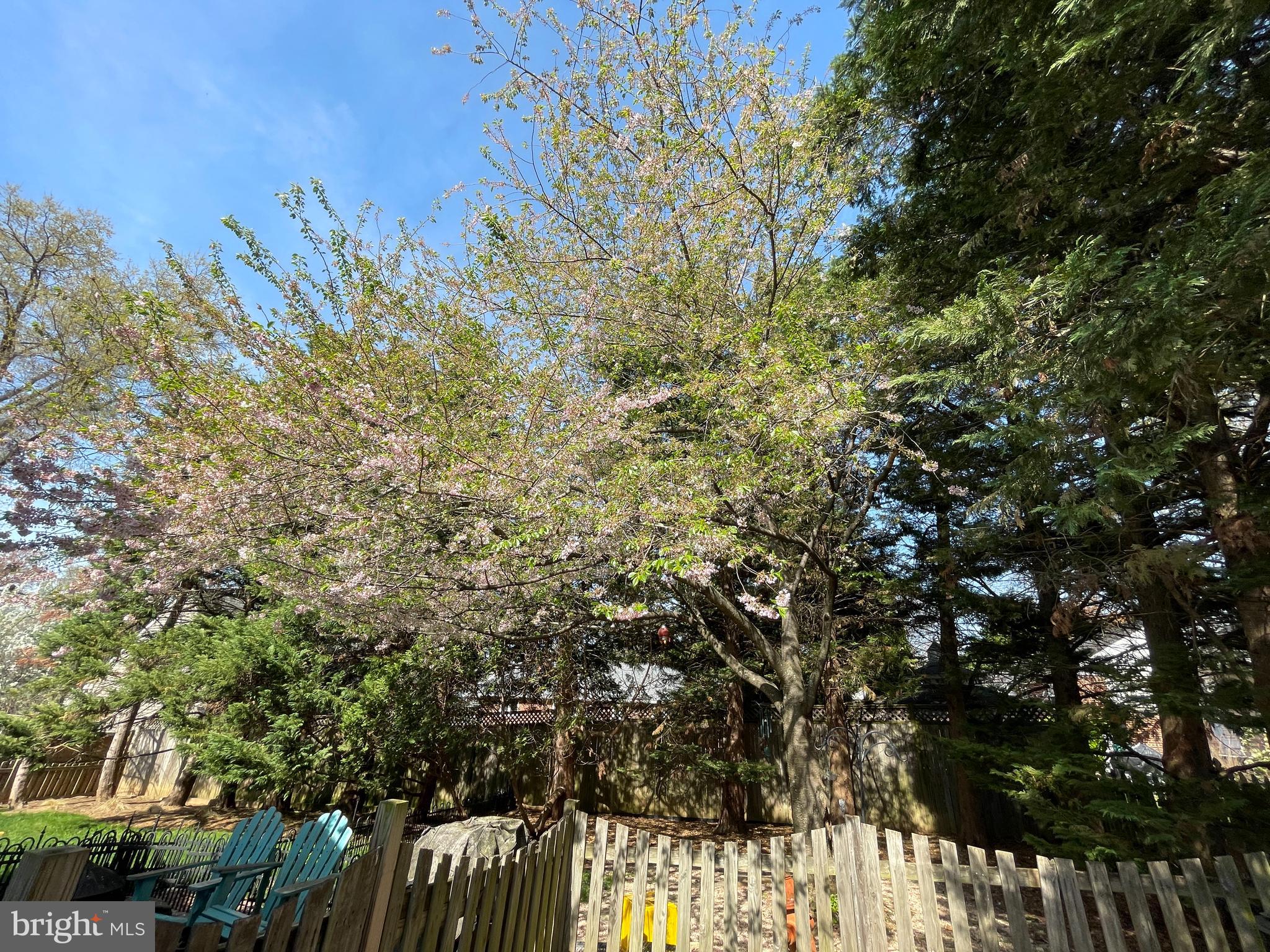 BERKSHIRE OAKWOOD - Residential