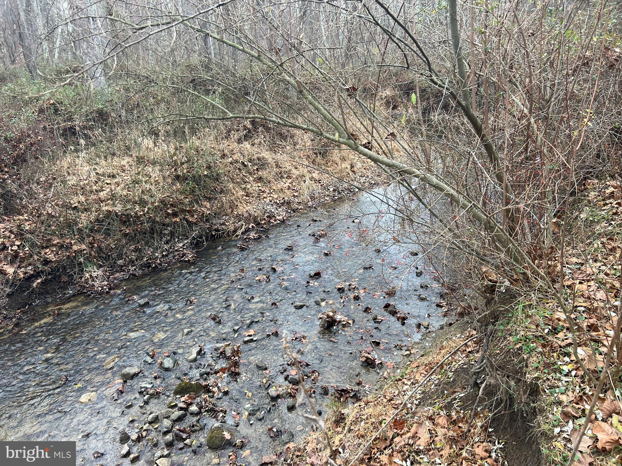 Wow what a great building lot in  highly desirable Capon Glen S/D!  Almost 7 acres of woods with a driveway already cut in and fronting Dillons Run trout stream in the back . Build your dream WV home on a nice wooded lot in an upscale S/D located only 25 minutes West of Winchester,VA close to shopping ,stores hospitals but get lower WV taxes and the laid back lifestyle you are looking for .Already perc tested and ready to build on .  Imagine being able to come home and fish right out your back door ! Lots this nice that have direct waterfront aren't easy to find so see this one first before it's going ,going gone !