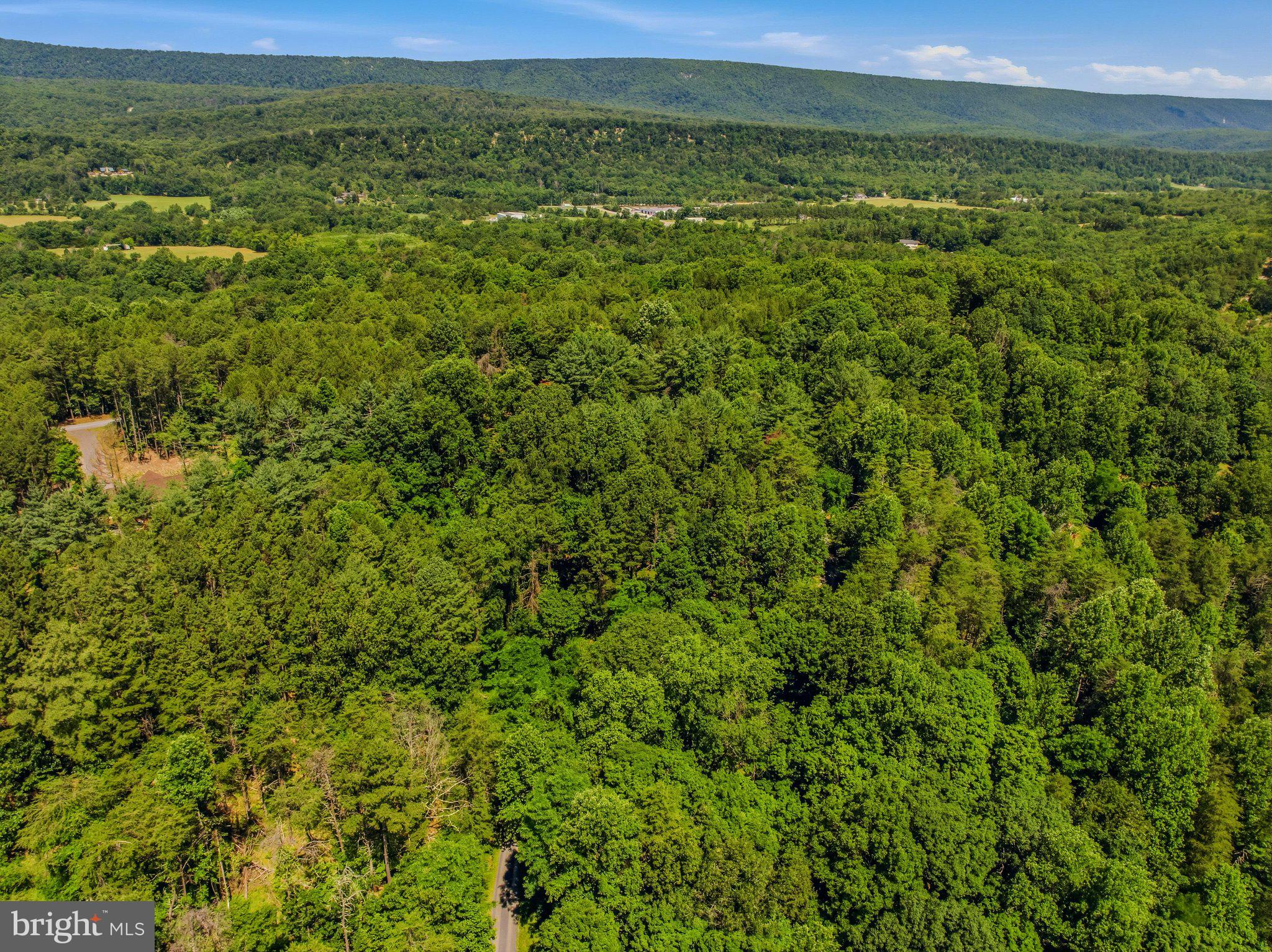 BEAVER DAM WOODS - Residential