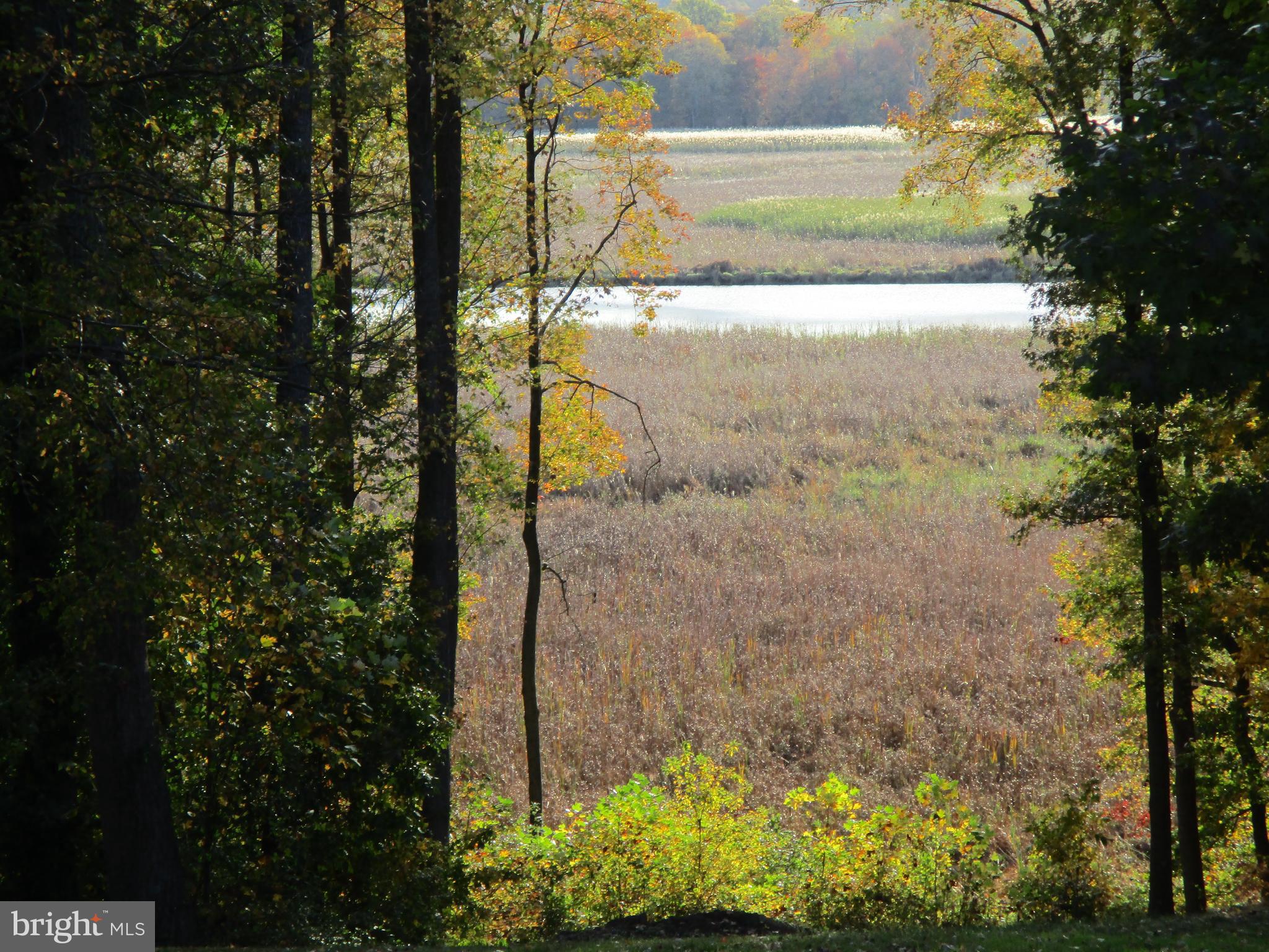 Beautiful Perc Approved Building Lot is a Bird Watchers Dream and Has a Total of 9.85 Acres; With 4 Usable Acres To Spread Out Your Lifestyle Space, Plus 5 Bonus Acres of Marsh to the Elk River Water Front, Prime Mature Location. A Bird Watchers Dream!! County Approved Perc (See Attachments).  Please Schedule With Agent To Enter The Property; Pull Into Gravel Driveway By Realtor Sign And Turn Right Behind The Pole Building That Belongs To The Adjacent Property. Photos Show Several Property Markers; Many Are Large Vertically Placed Rail Road Ties With Bird Houses Atop Most Of Them. The First One With A Blue Bird House Is Located At The South West Corner Just Behind The Blue Home Known As 2192 Old Field Point Road, And They Can Be Followed Down That Property Line All The Way Into The Trees And Water Line. Look At Attached Drone Videos Of Property.