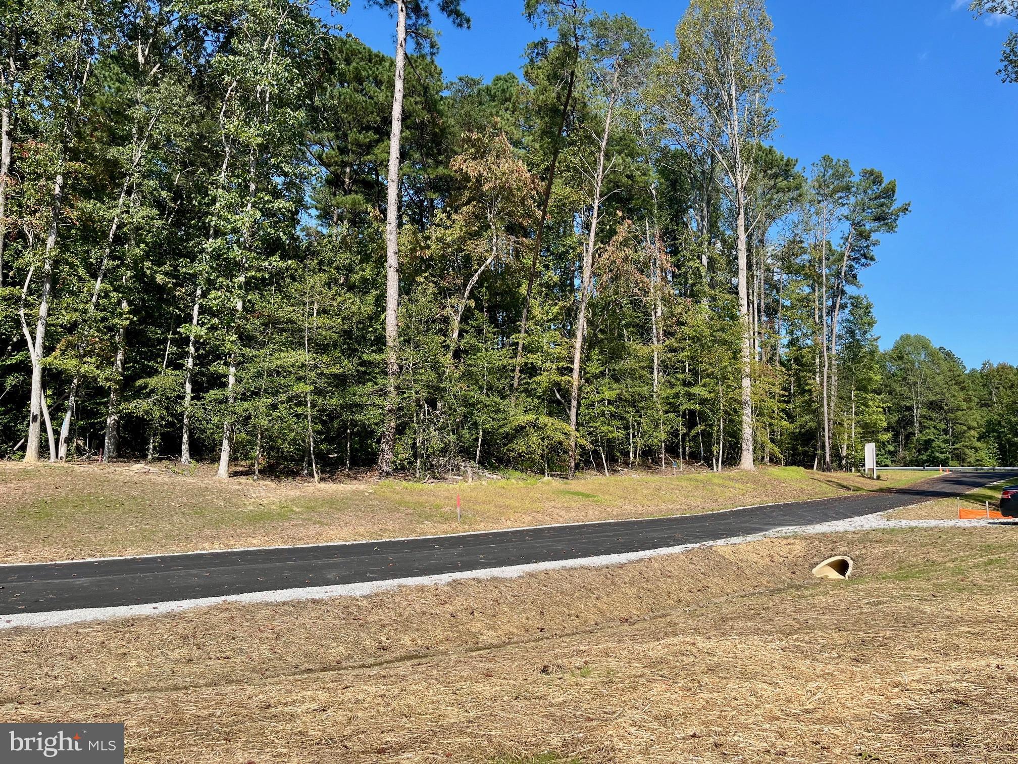 Welcome to Ridgewood Estates!! Tucked away and nestled in the heart of Williamsburg, VA. This beautiful subdivision is minutes from Colonial Williamsburg and everything Williamsburg has to offer. Kimberly Builders has beautiful lots ranging from .49 acres to 1.89 acres for your selection. Reserve your spot now with only 7 lots left in this brand new 9 lot custom home subdivision. No HOA, Private individual deep wells, county sewer, mature hardwoods, gentle rolling lots, no future development adjacent to property, no shrink/swell soil, space for pool and/or detached garage. Ready to build and need a plan? With over 250 previously custom built homes, you may like one of our existing plans. If not, no problem. We include plan design with no cost to you.