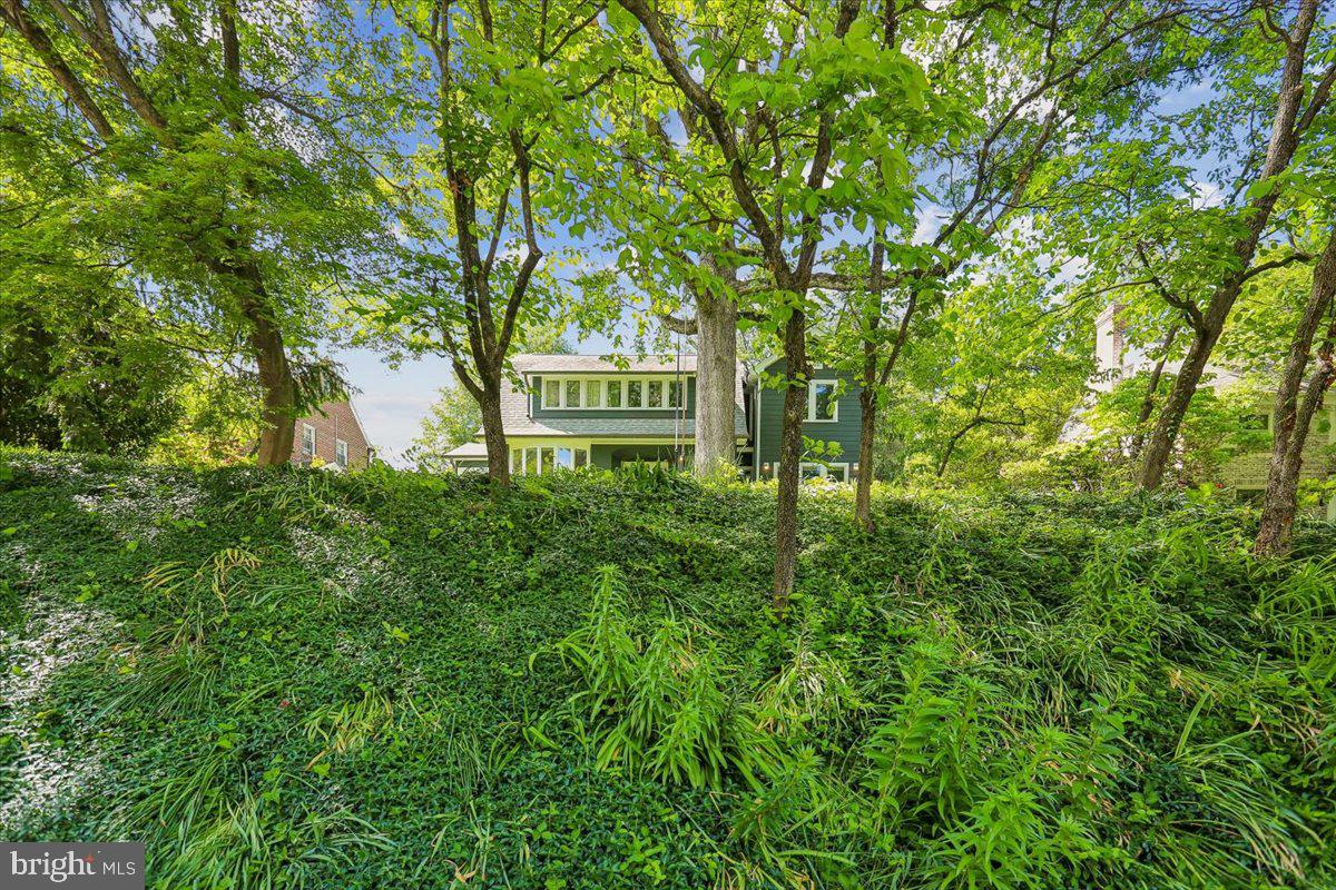 CHEVY CHASE - Residential