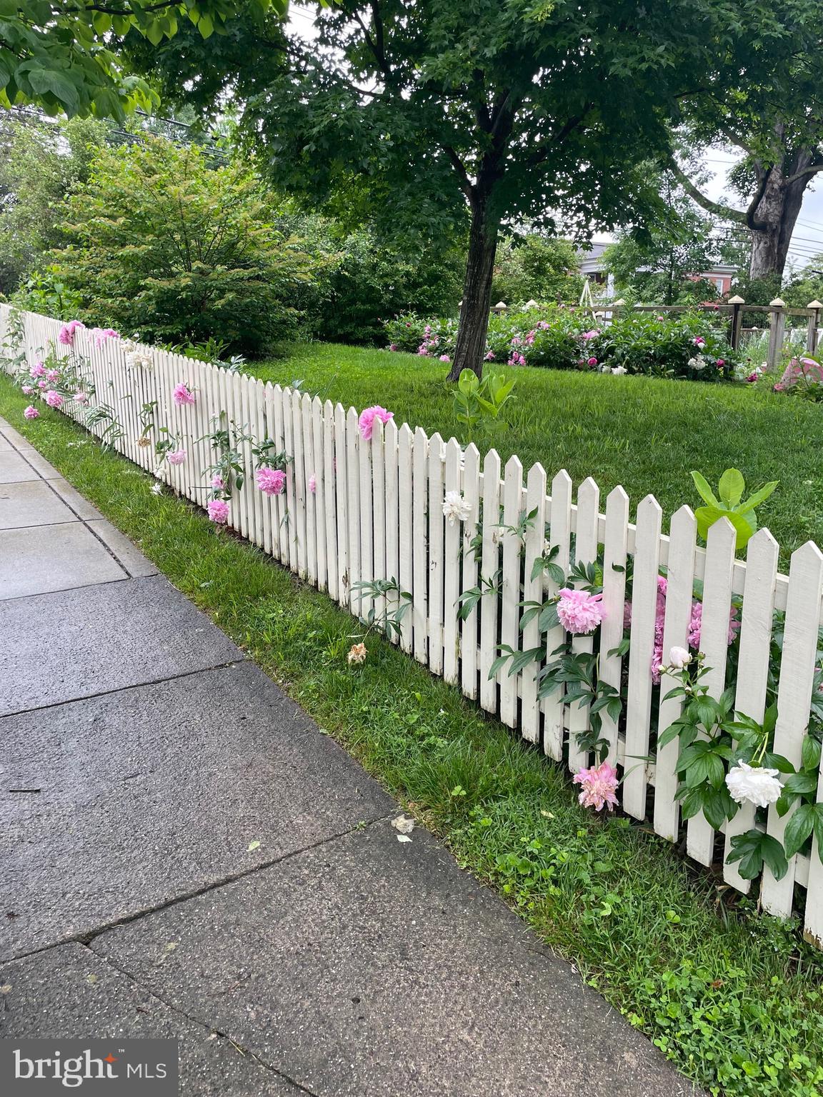 SHEPHERDSTOWN CORPORATION - Residential