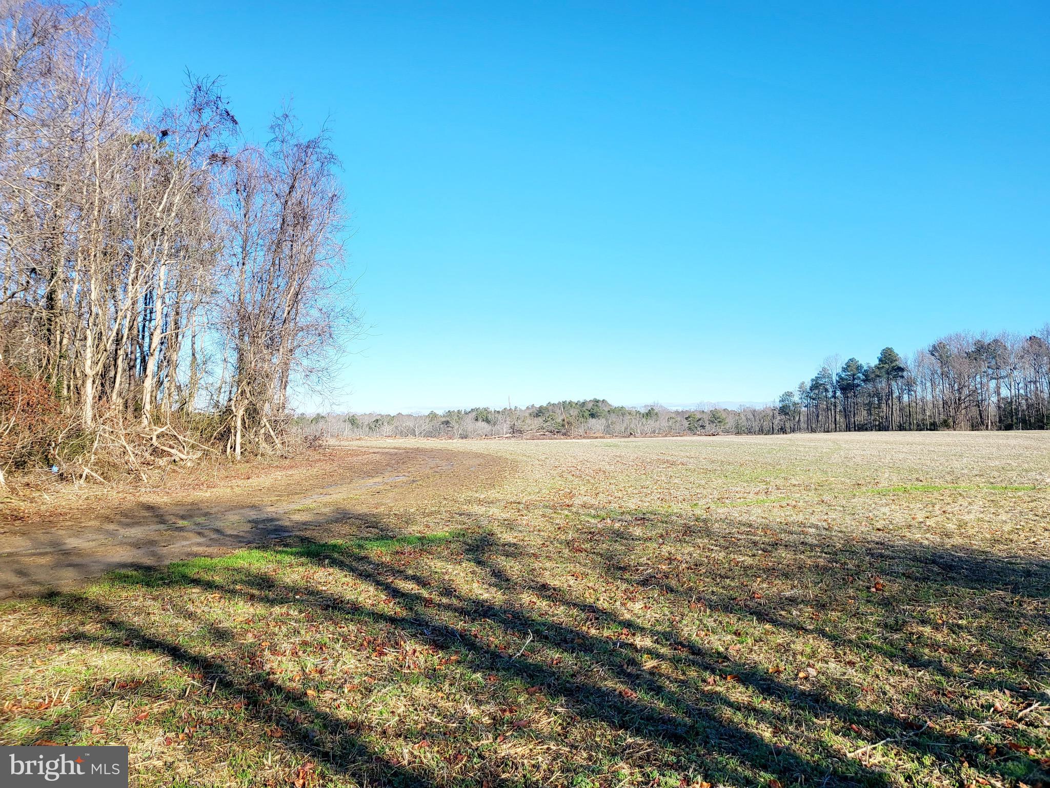 24.55-acre parcel located in Richmond County, offering a perfect blend of natural beauty and agricultural potential. The property is zoned A-1, opening up a multitude of possibilities for agricultural endeavors or private residential development.