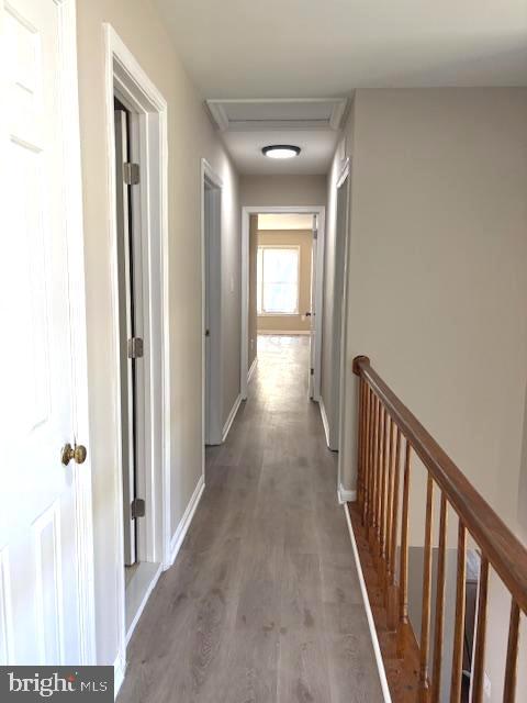 ORCHARD RIDGE - Residential