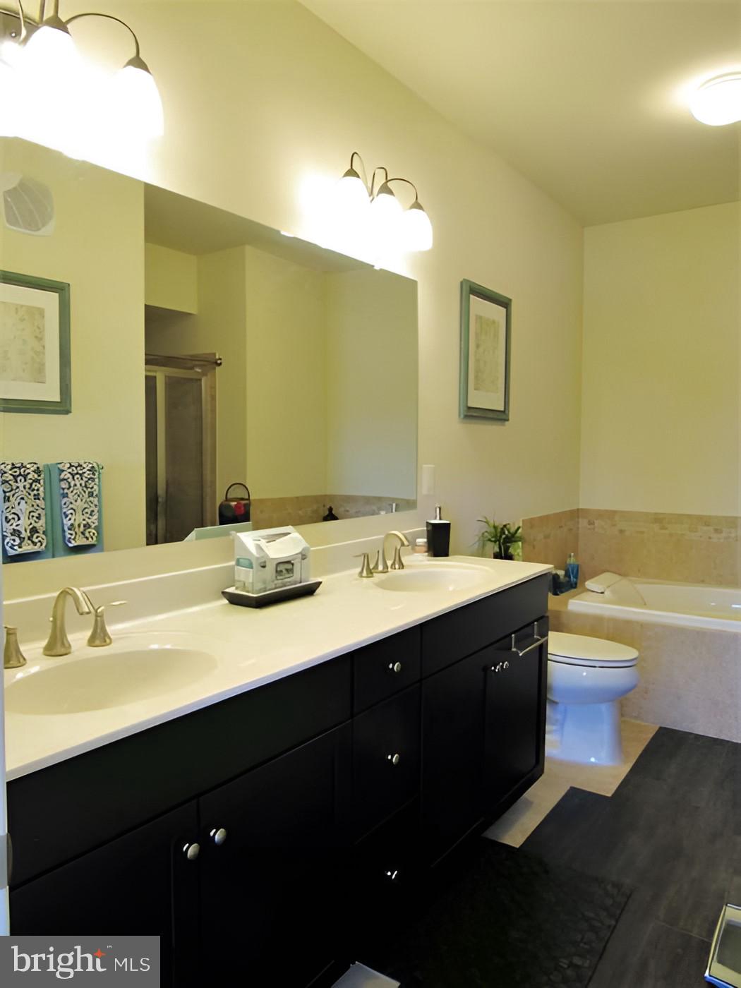 PRESERVE AT GOOSE CREEK - Residential