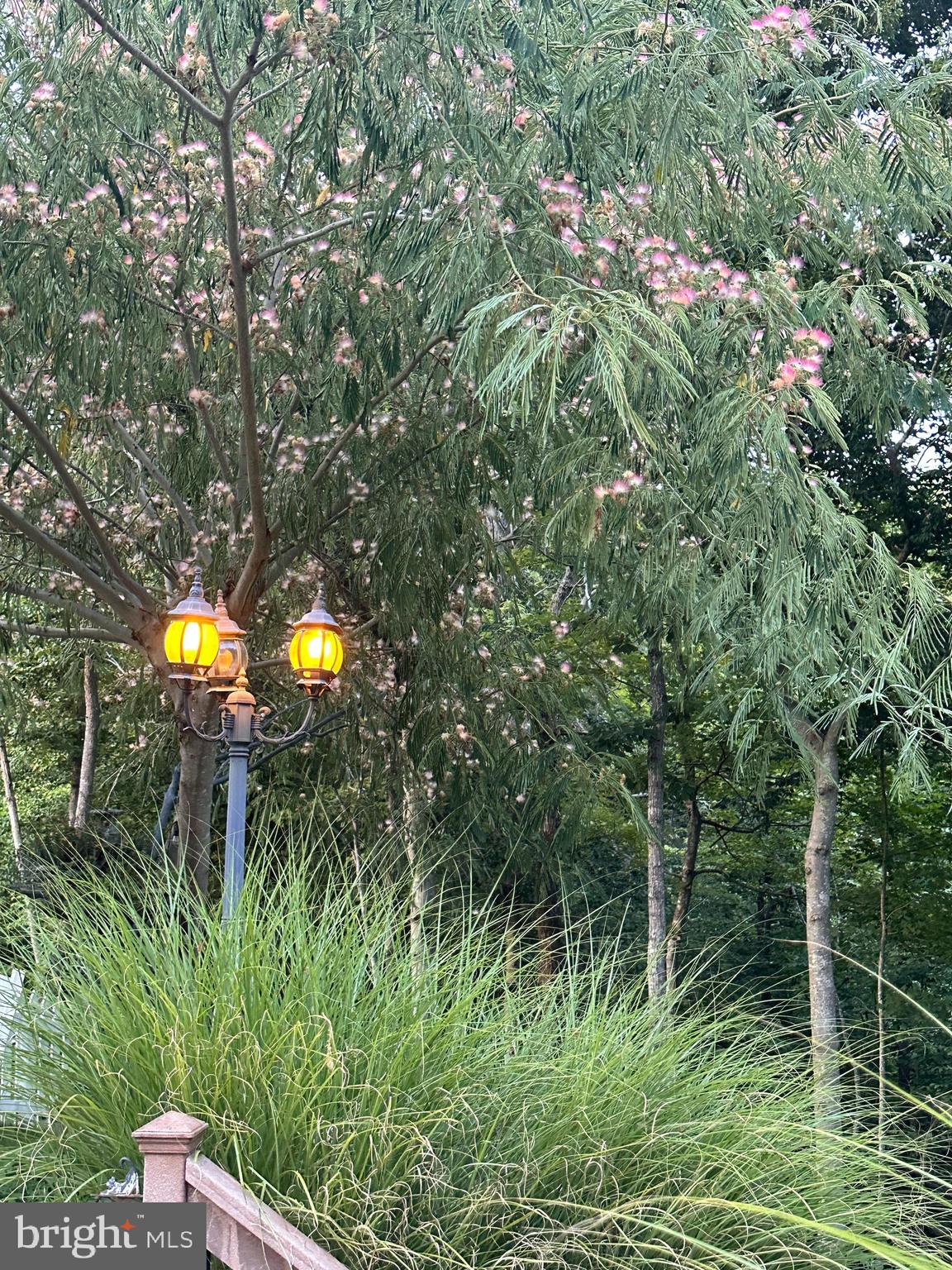 WELLINGTON CHASE ON THE RAPPAHANNOCK - Residential