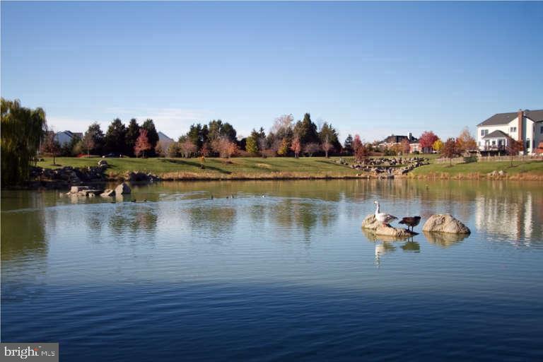 BELMONT TRACE - Residential