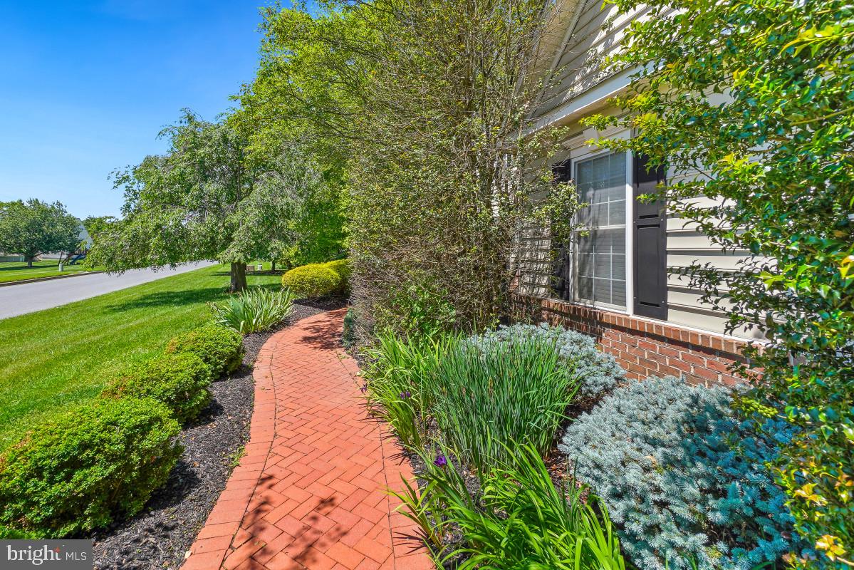 SAFFELL PROPERTY - Residential
