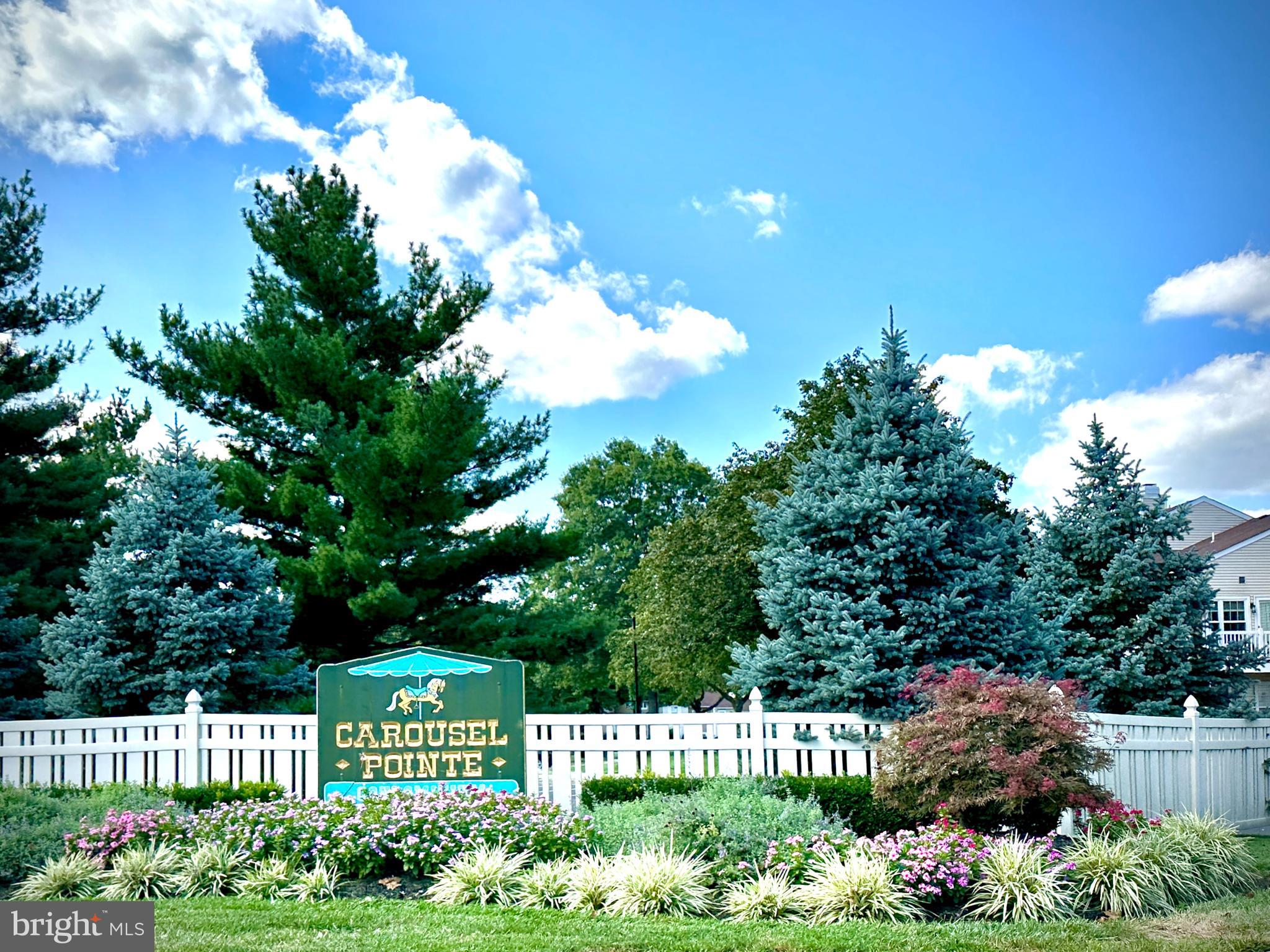 CAROUSEL POINTE - Residential