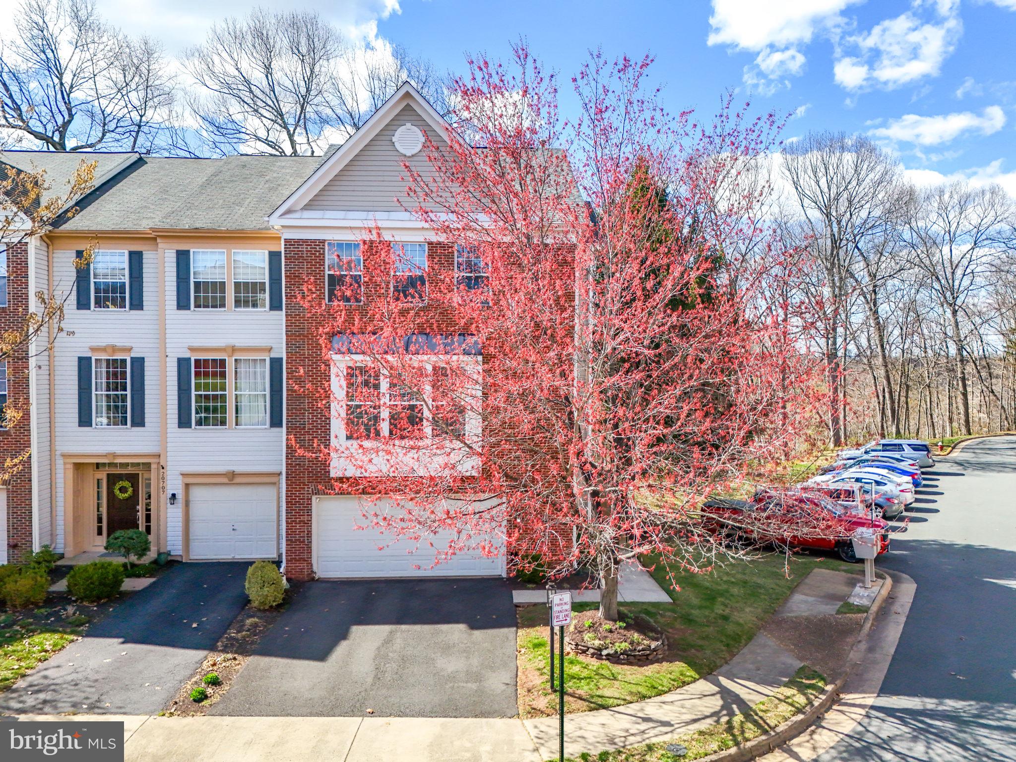 GREAT FALLS CHASE - Residential