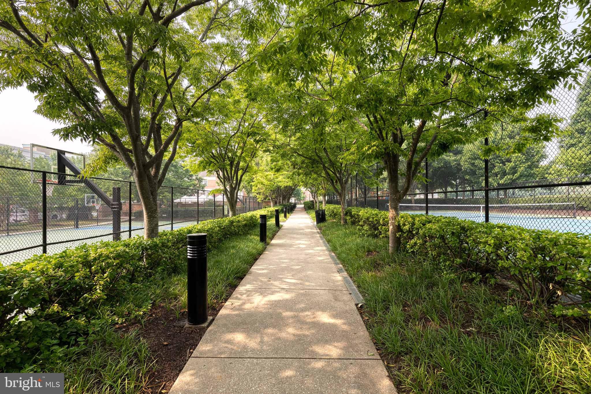 MAPLE LAWN - Residential