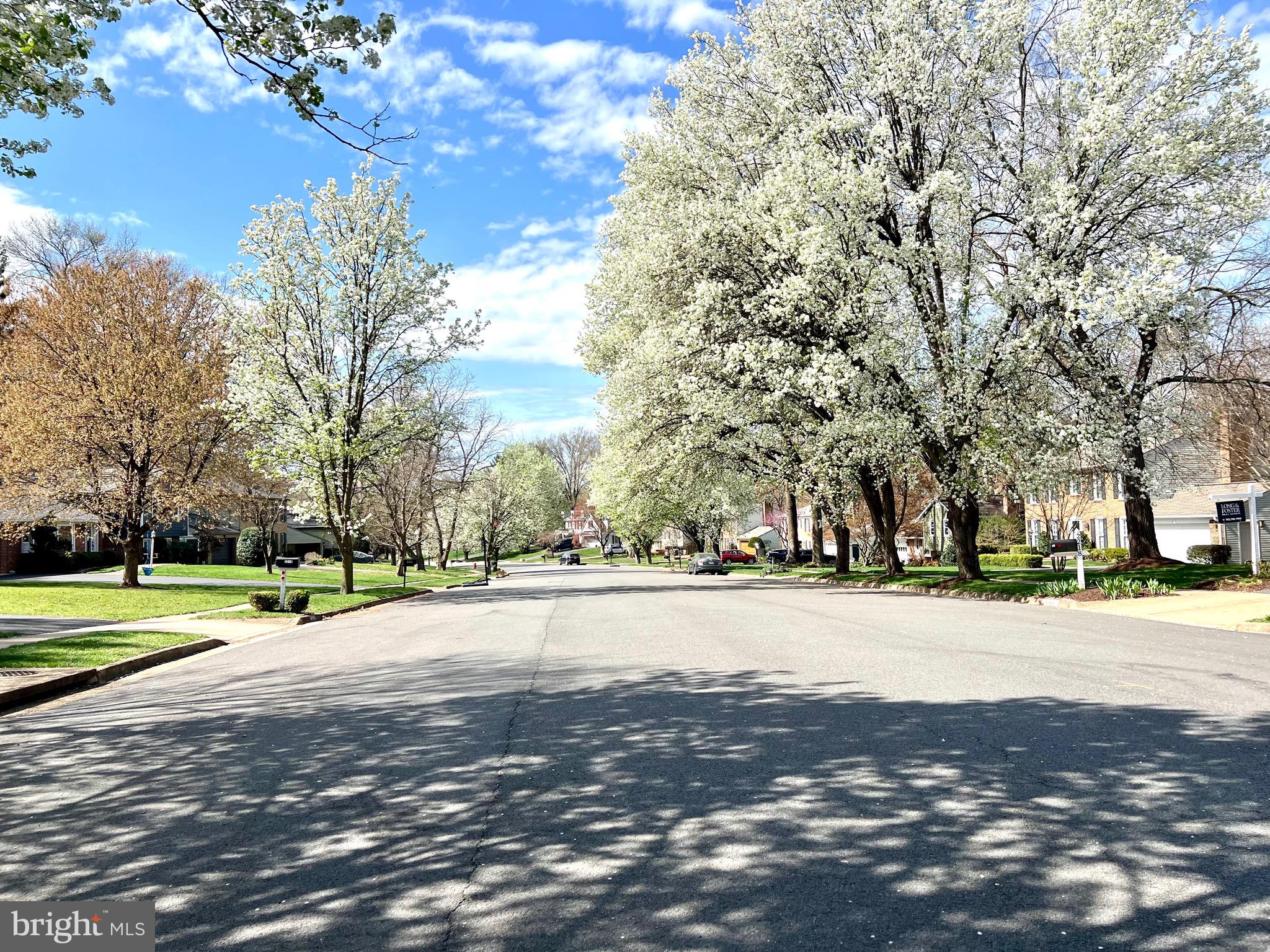 TANGLEWOOD - Residential