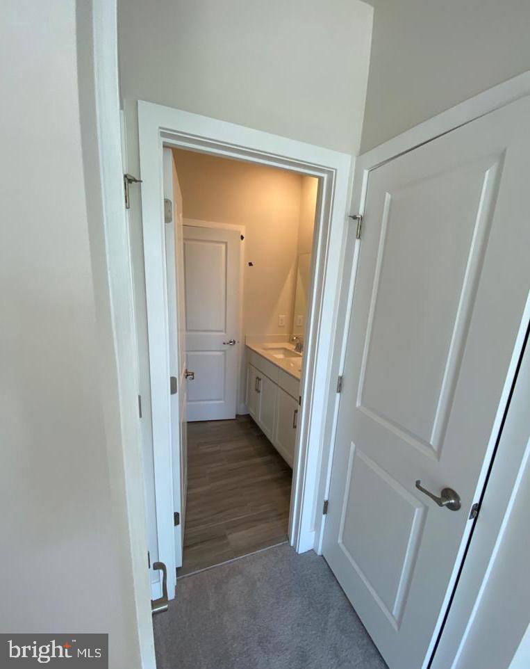 STEELPOINTE - Residential Lease