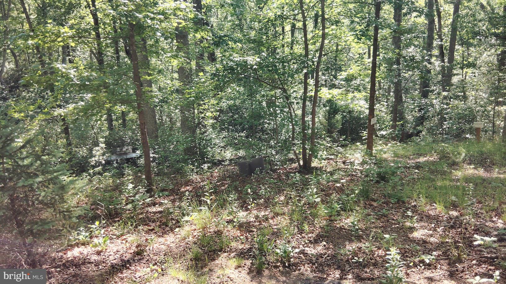 BEAVER LODGE ESTATES - Residential