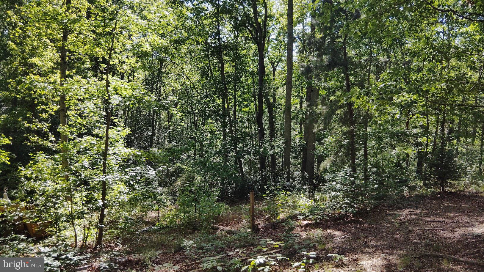 BEAVER LODGE ESTATES - Residential