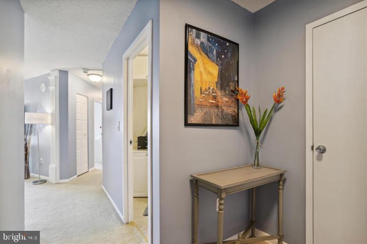 THE RIDGELY - Residential